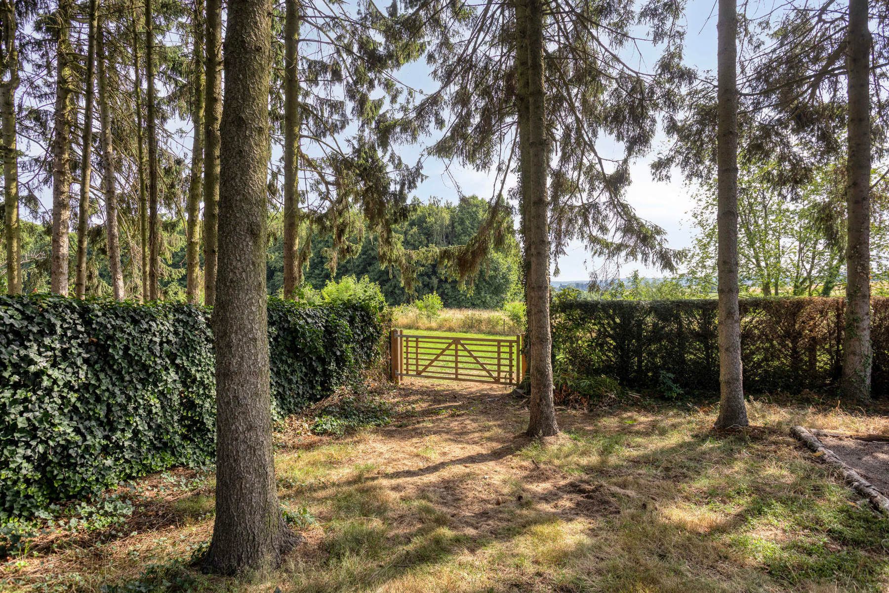 Villa te koop foto 29