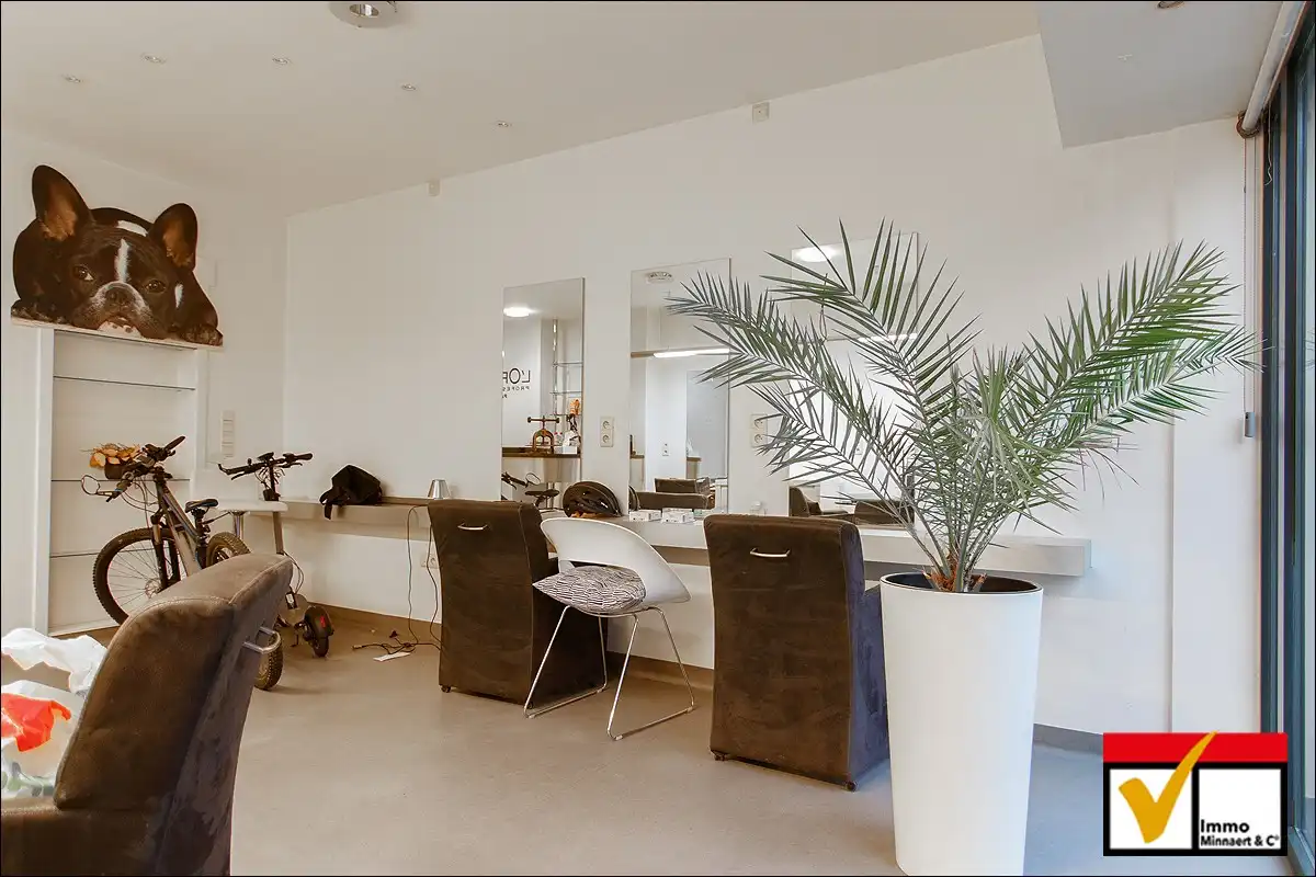 Woonhuis met Handelsgelijkvloers / bureelruimte, Ridderstraat 11 Hasselt foto 4