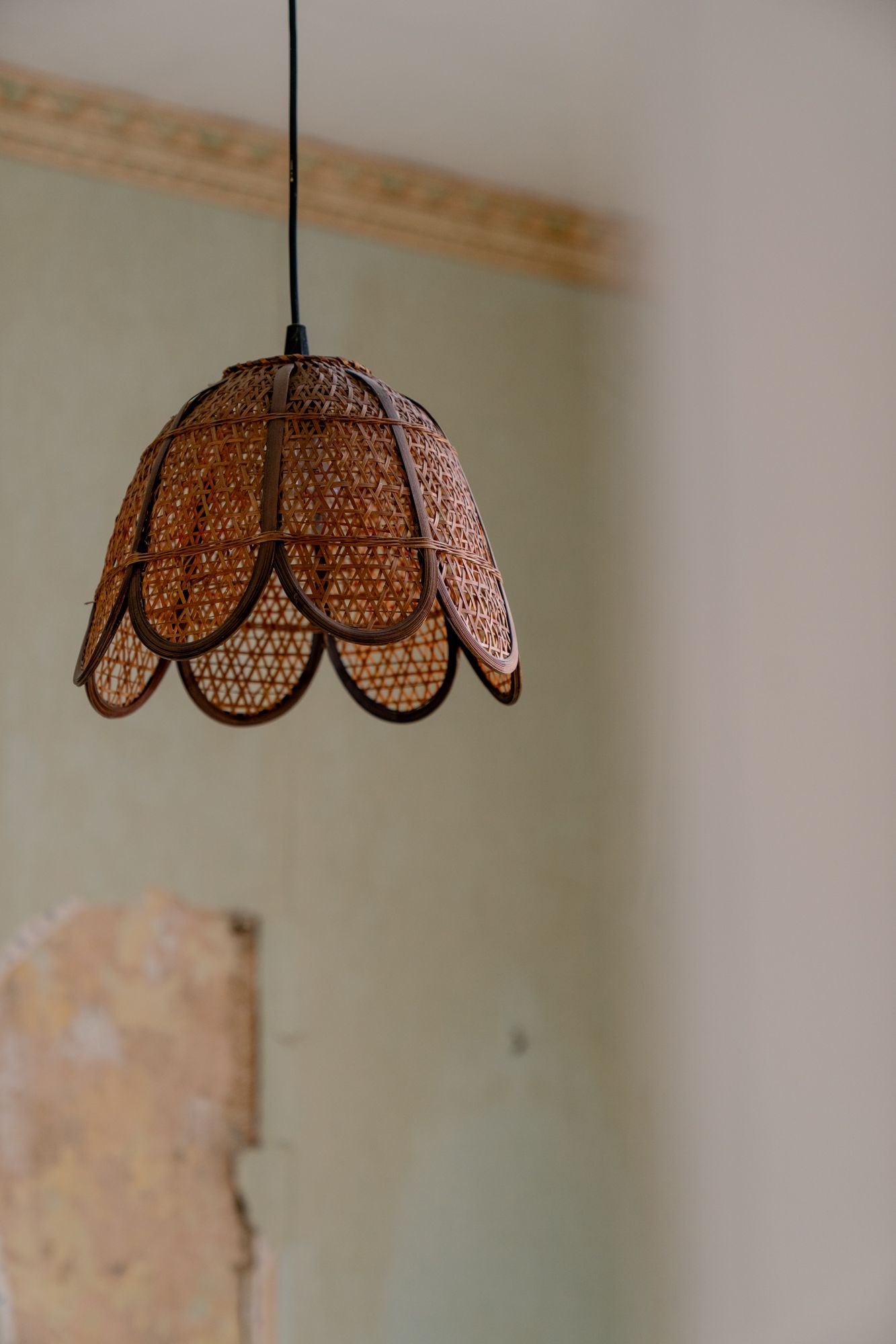 Wrapped in wallpaper: te renoveren of nieuw te bouwen woning in Damtwerpen foto 6