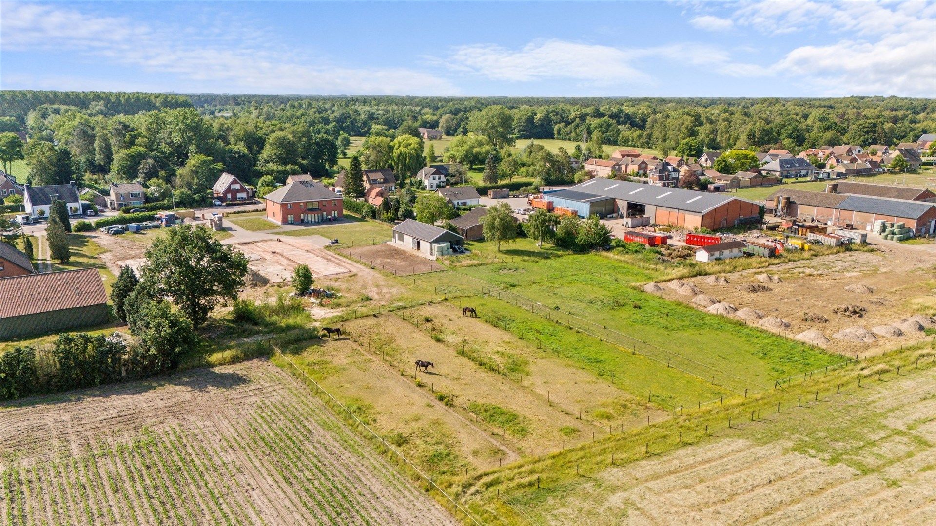 Prachtige tweewoonst met weilanden in de groene omgeving Heikant (NL) foto 3