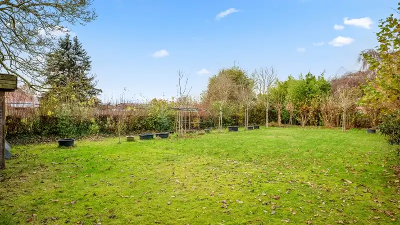 Ruime woning van 256m² op 10 are 32 ca foto 32