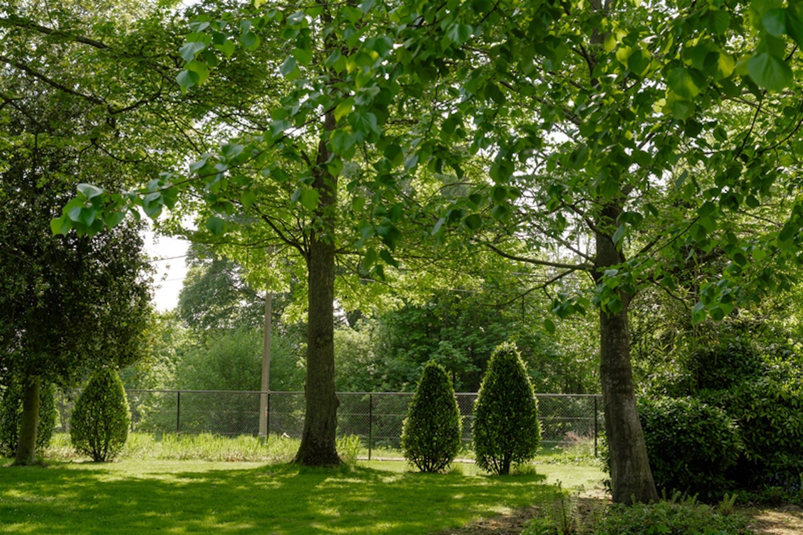 Opportuniteit! Eigendom op 1 Ha met buitengewone privileges foto 2