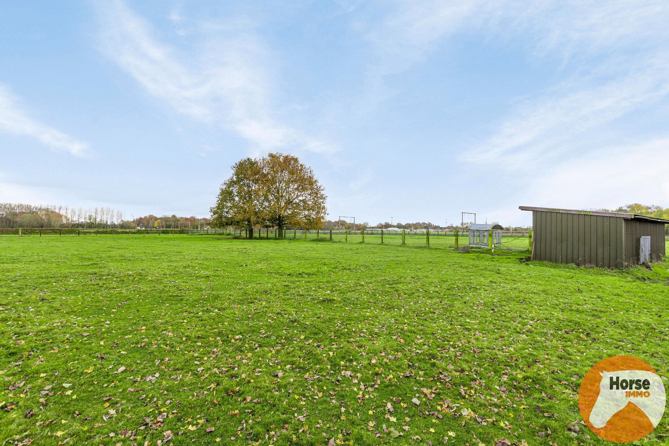 BEERVELDE - Prachtige hoeve met twee authentieke bijgebouwen foto 47