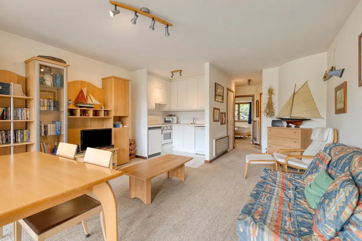 Charmant 1 slaapkamer appartement met terras en mogelijkheid tot aankoop van een garage foto 4