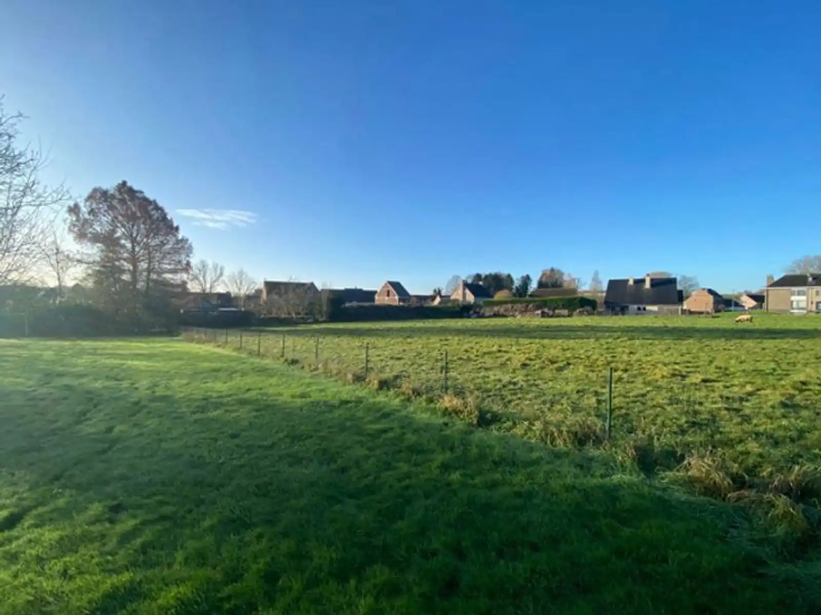 5 vrijstaande woningen in Grimbergen foto 6