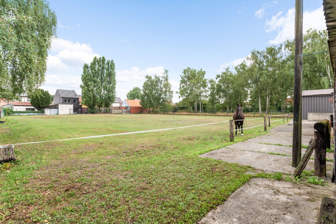 Recente, grote HOB met 4+ slpk., dubbele garage, weide en stallen foto 26