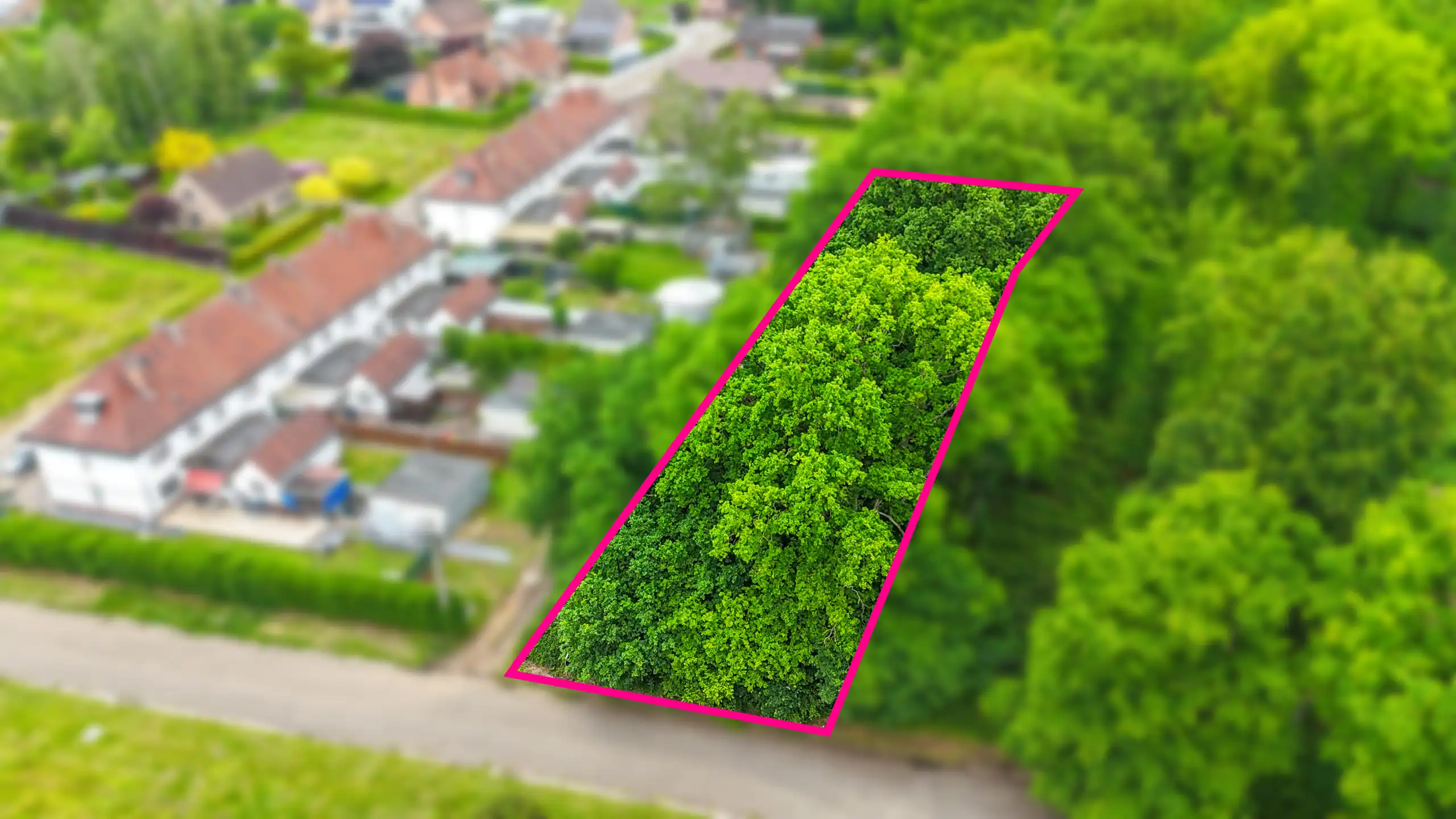 Mooi gelegen bosgrond op rustige locatie te Teggersgoed! foto 5