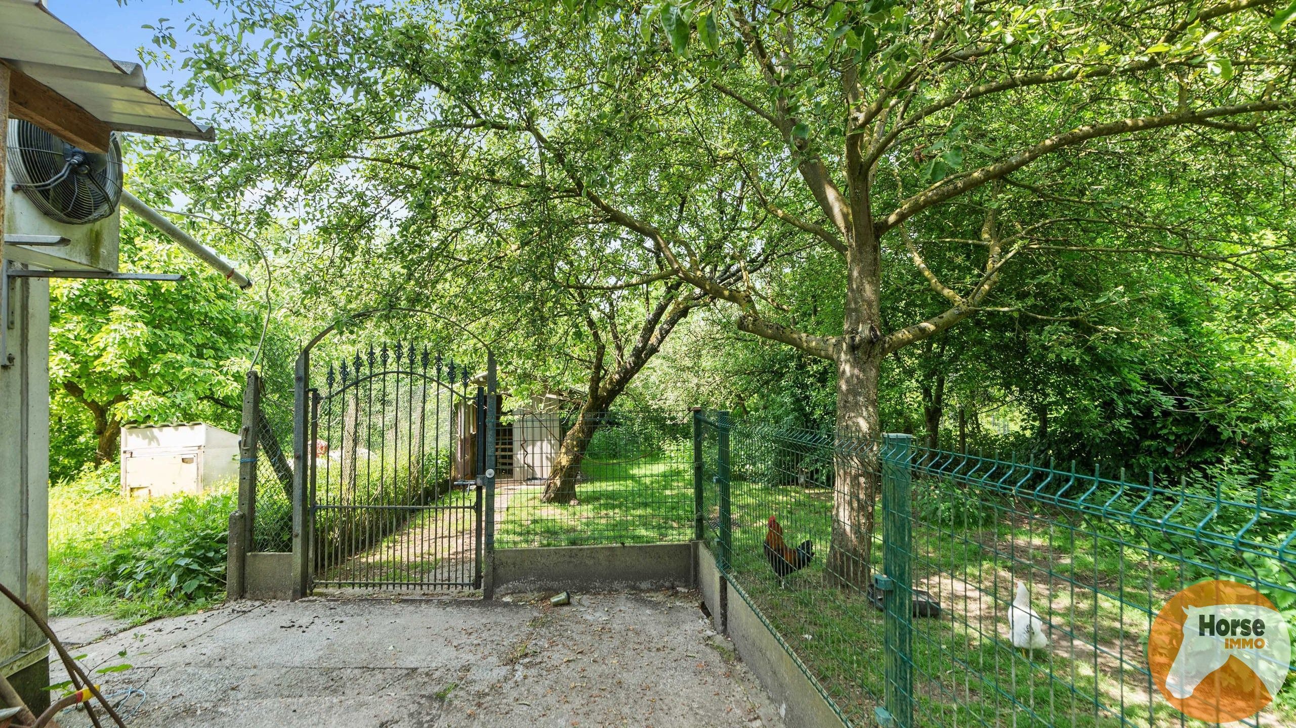 ZWALM - Woning met voormalig vleesverwerkend bedrijf  foto 14