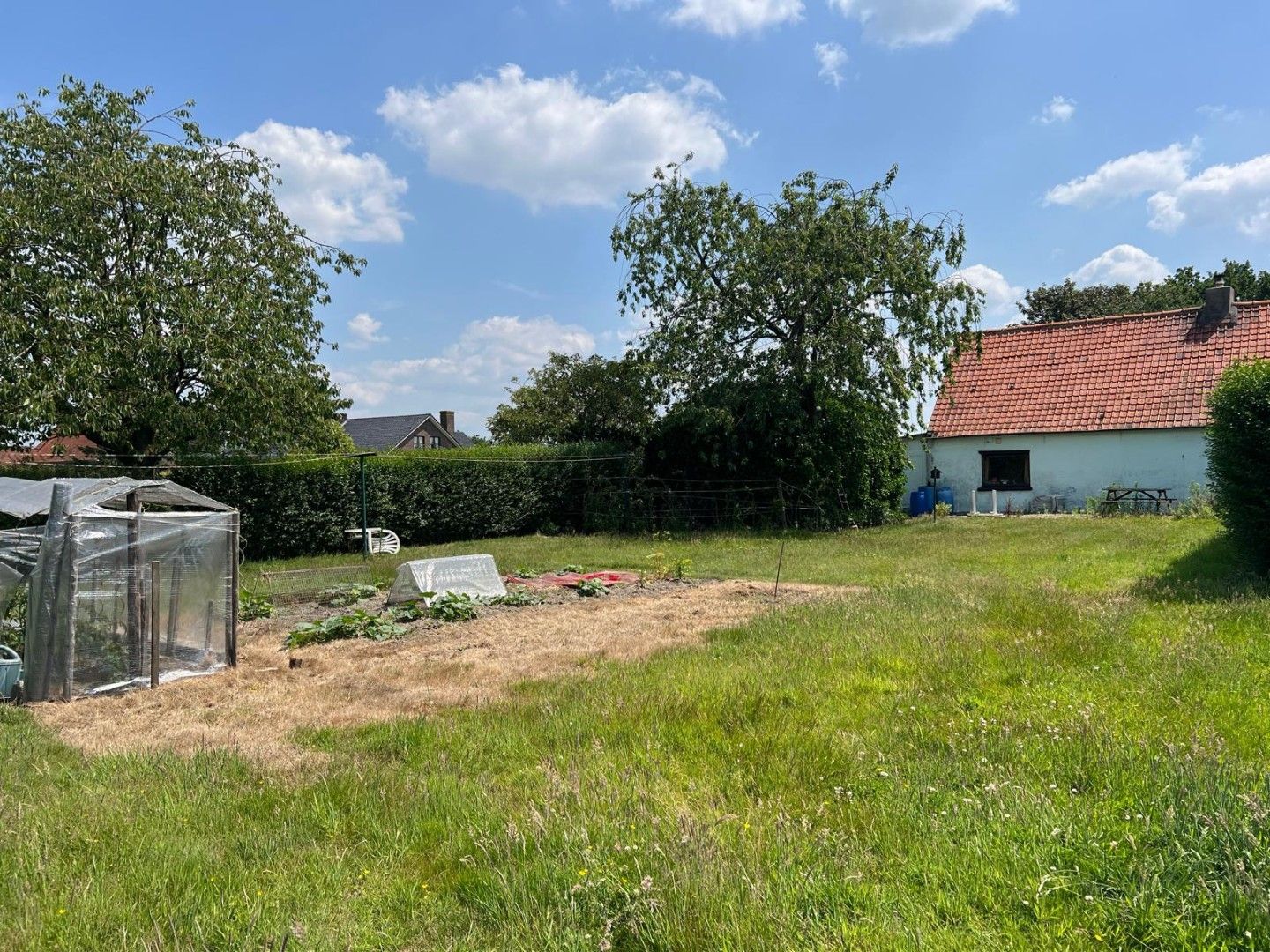 Totaal te renoveren hoeve te koop in Lievegem foto 2