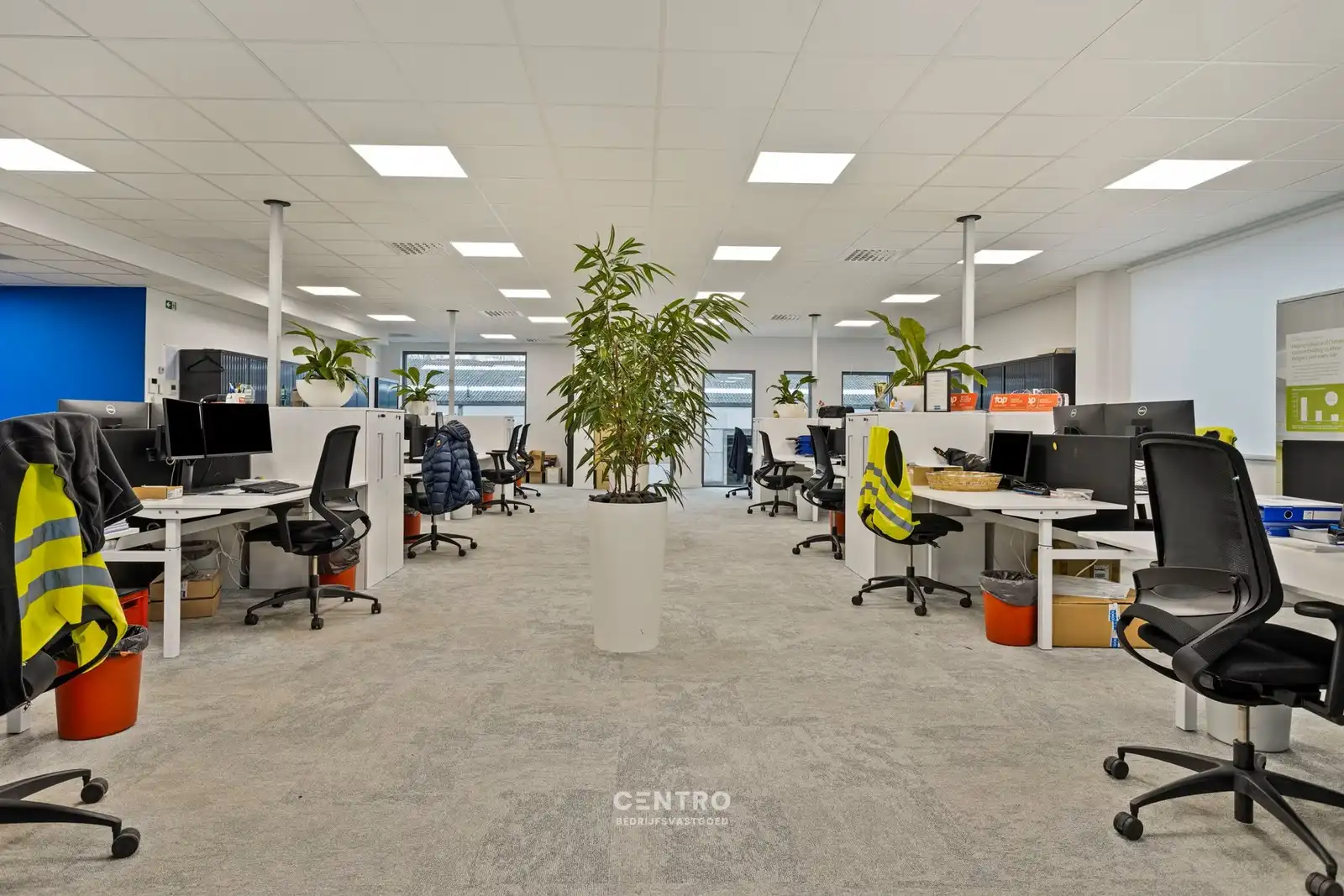 VERNIEUWDE en INSTAPKLARE KANTOORRUIMTEN (259m² en 337m²) op een UITSTEKENDE LOCATIE langs de AUTOSNELWEG te Loppem (Brugge-Zedelgem)! foto 11