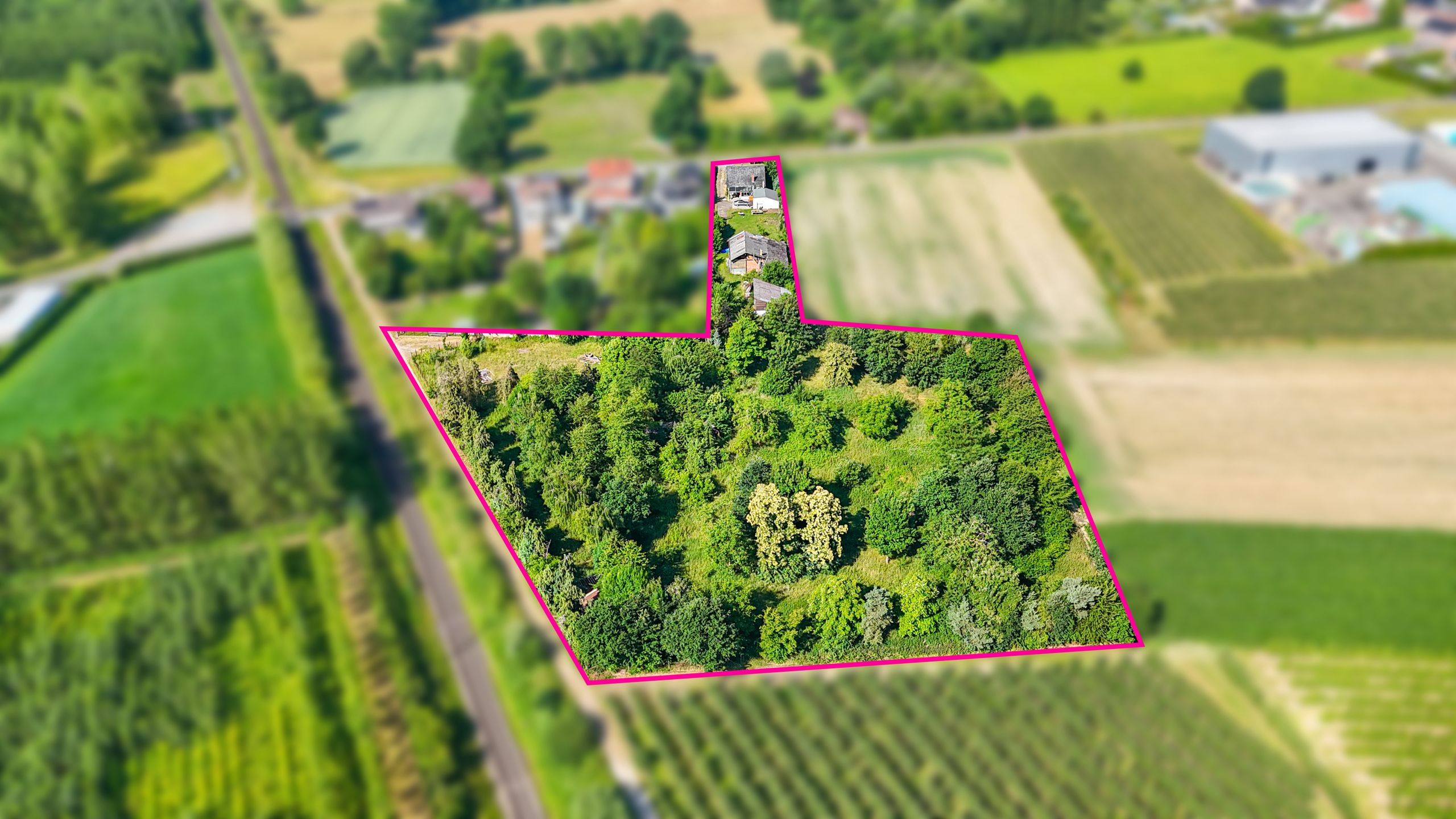 Vrijstaande woning met hangar en groot stuk grond-13.000m²! foto 46