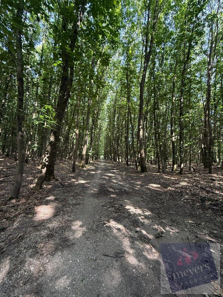 Uw eigen stukje natuur in Houthalen-Helchteren – Voornstraat (10 are) foto 5