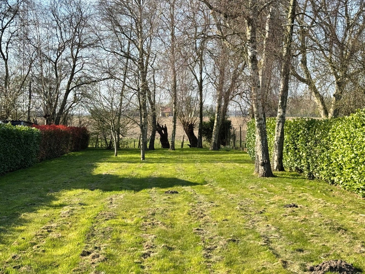 Instapklare open bebouwing op ruim perceel (1.426 m²) in rustige straat foto 25