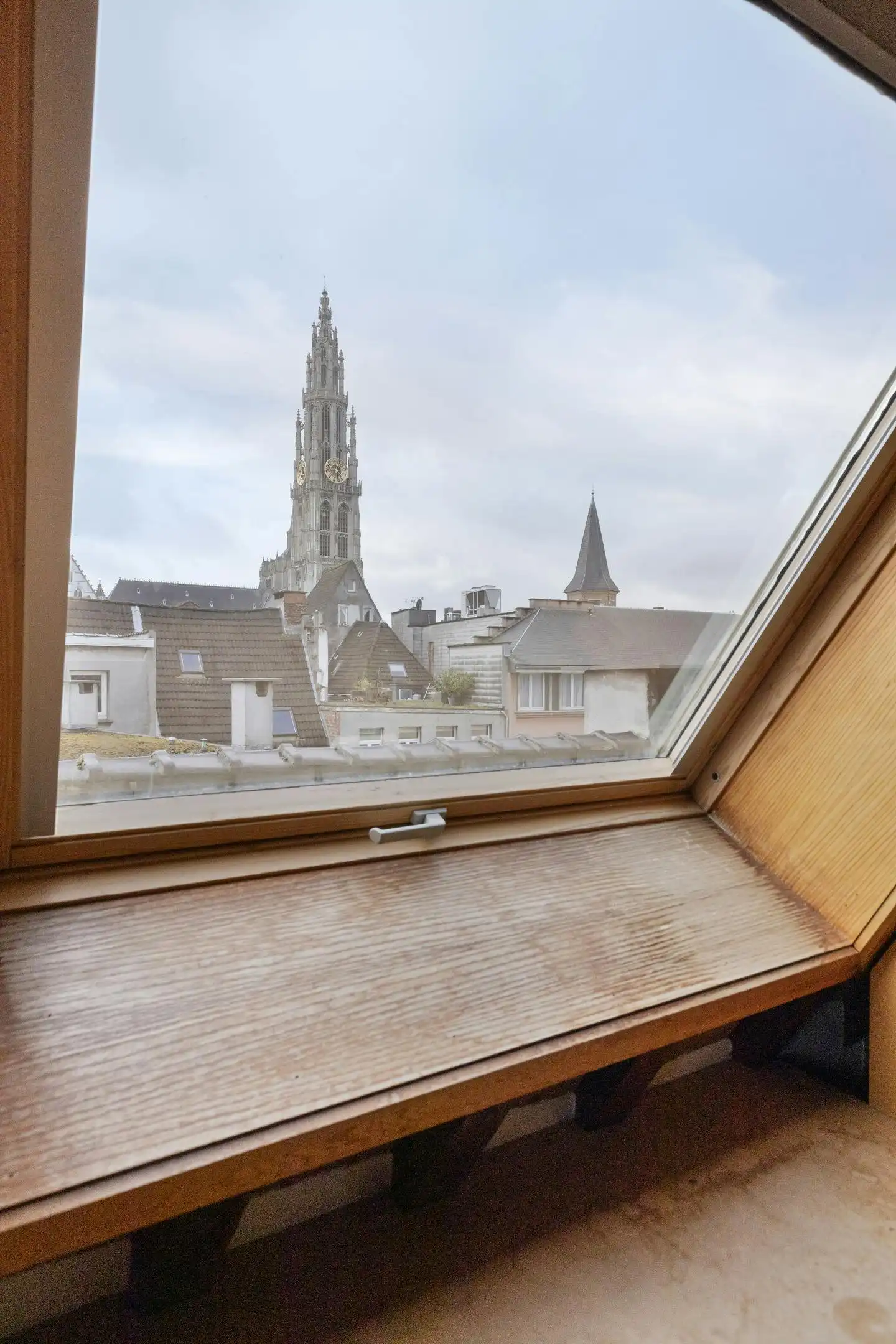 Handelshuis (466 m²) te koop te Antwerpen centrum  foto 33