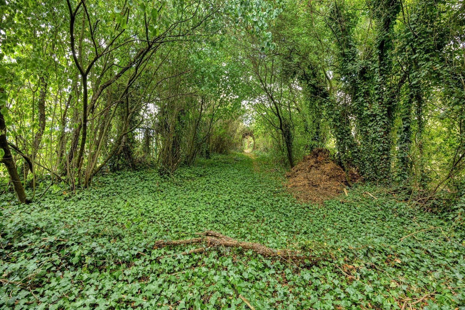 Charmante 3-gevelwoning (8a85) met mogelijkheid tot 5 slaapkamers te Halle foto 35