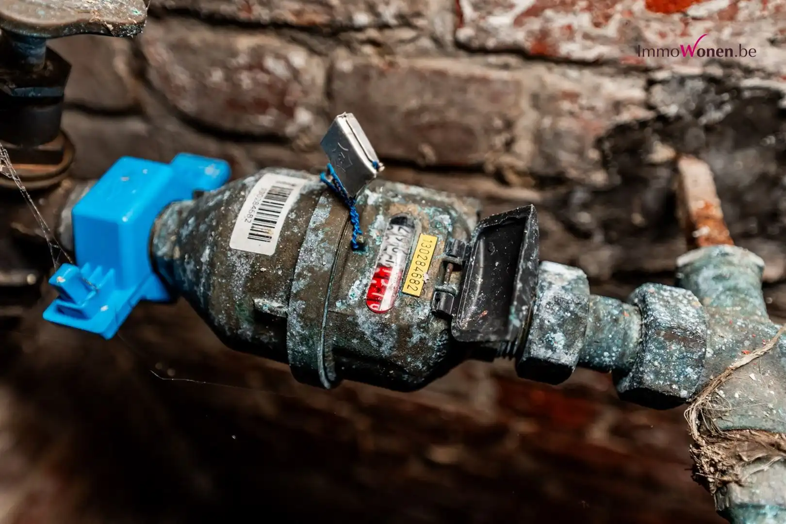  Te renoveren Klasse Woning op prachtig domein  foto 48