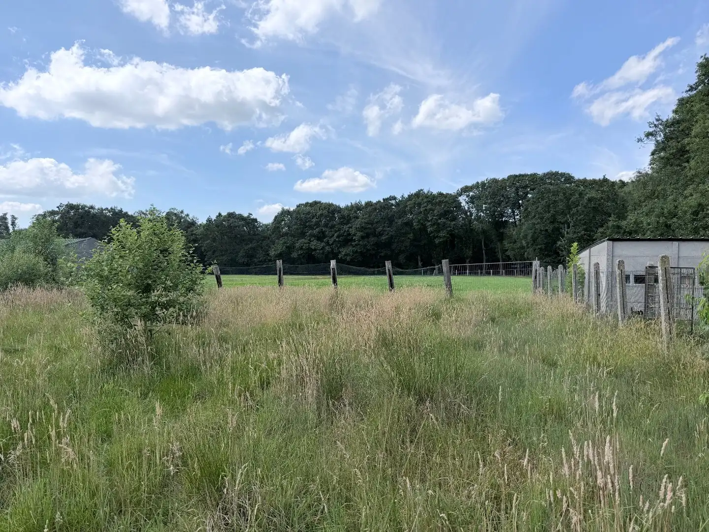 Bouwgrond voor HOB, 11a04ca, met zicht op groen foto 5