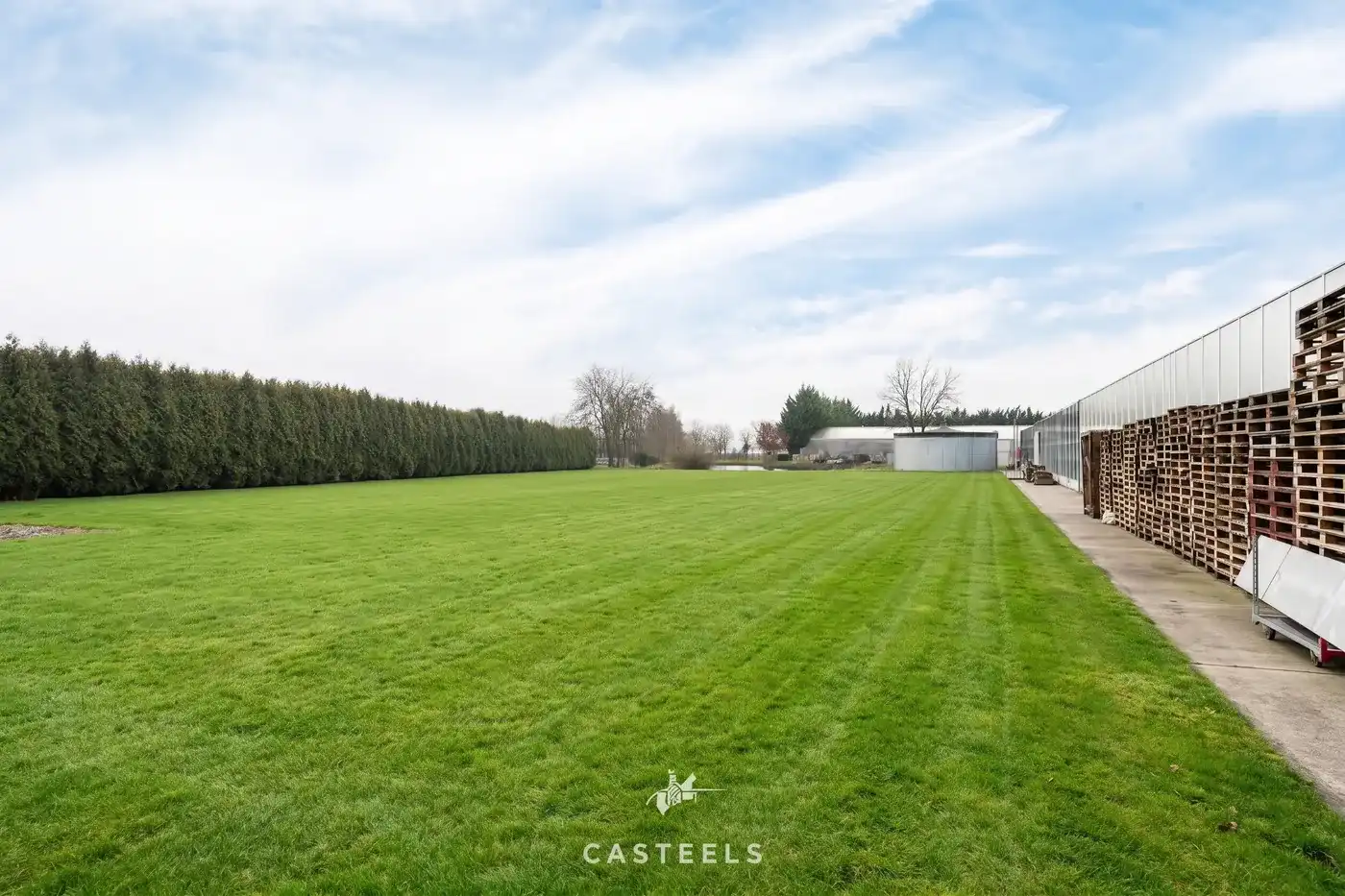 Professionele tuinbouwsite van 1,98 ha met 9.400 m² serres nabij E17 / R4 foto 14
