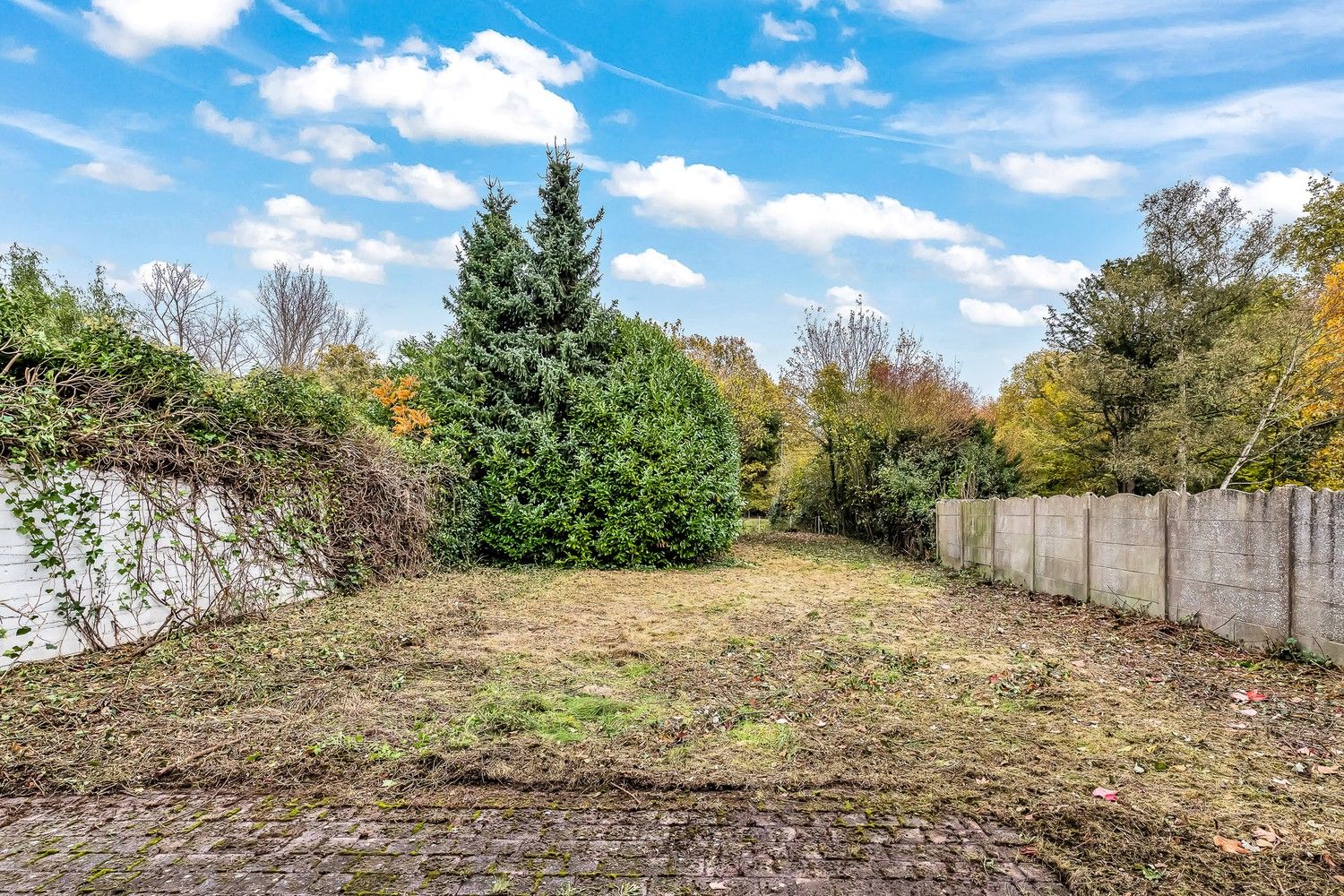 Prachtige bouwgrond op toplocatie te Tildonk foto 5