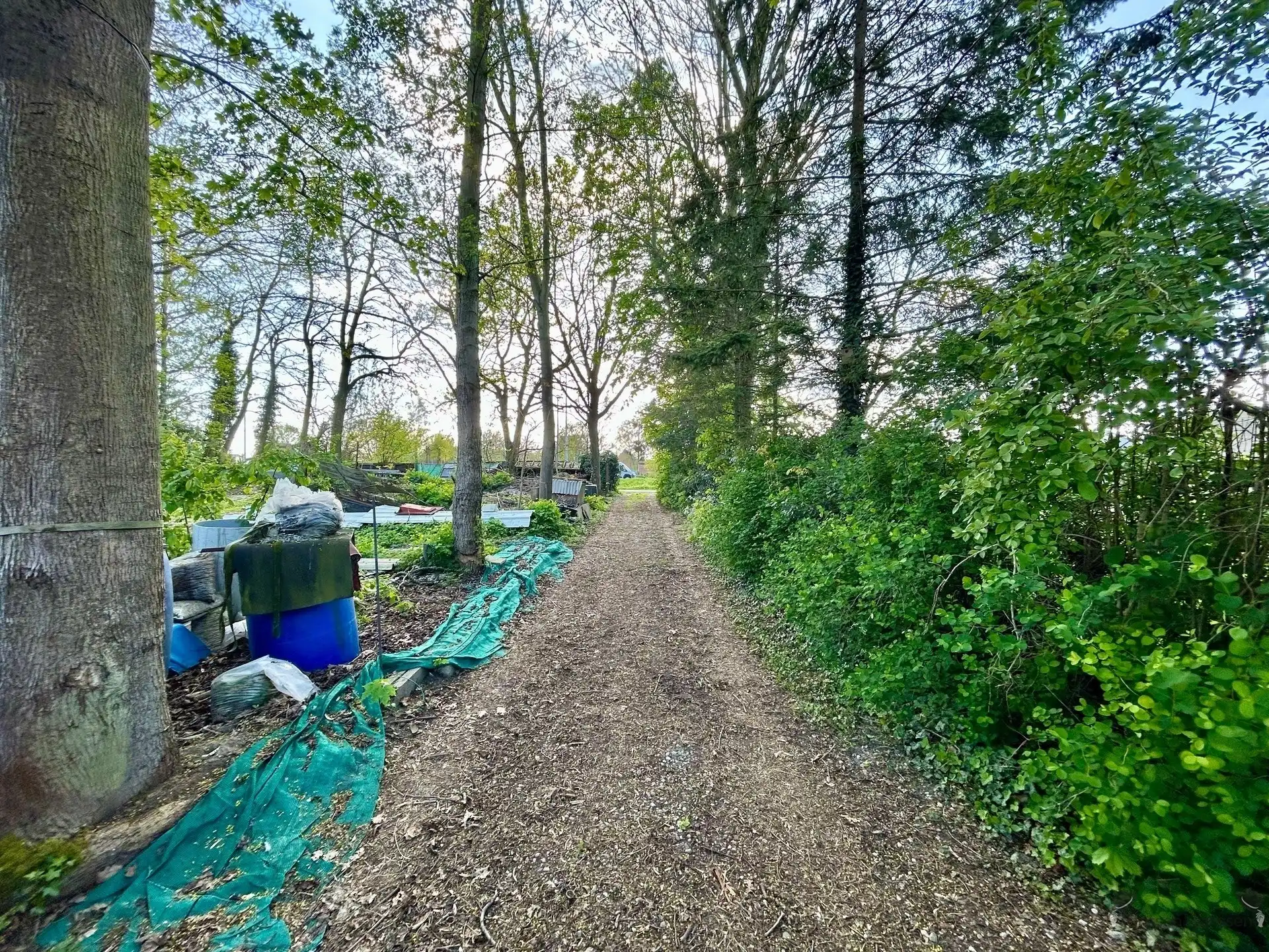 eengezinswoning foto 18