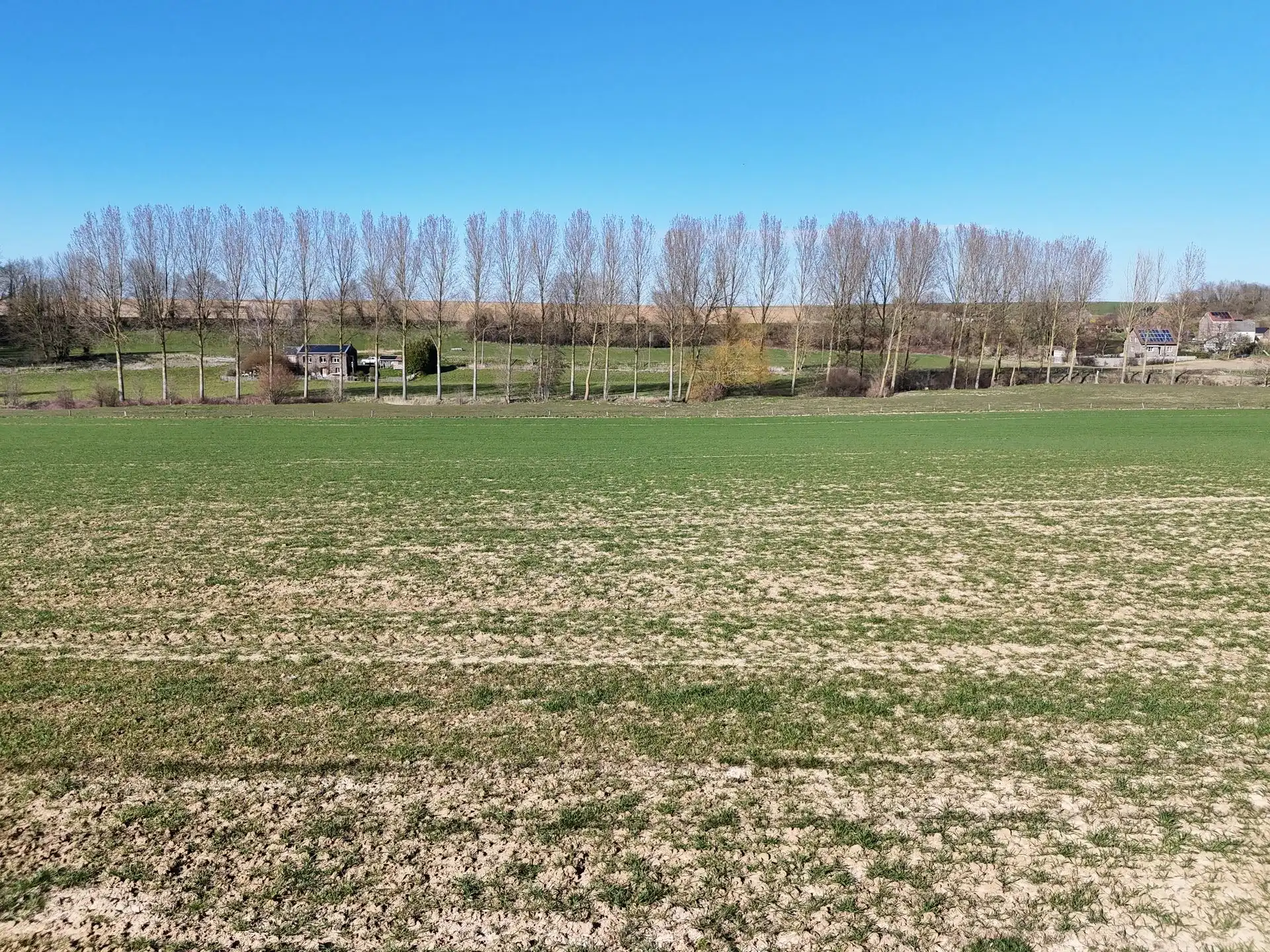 Groot perceel landbouwgrond - BLOK D foto 17
