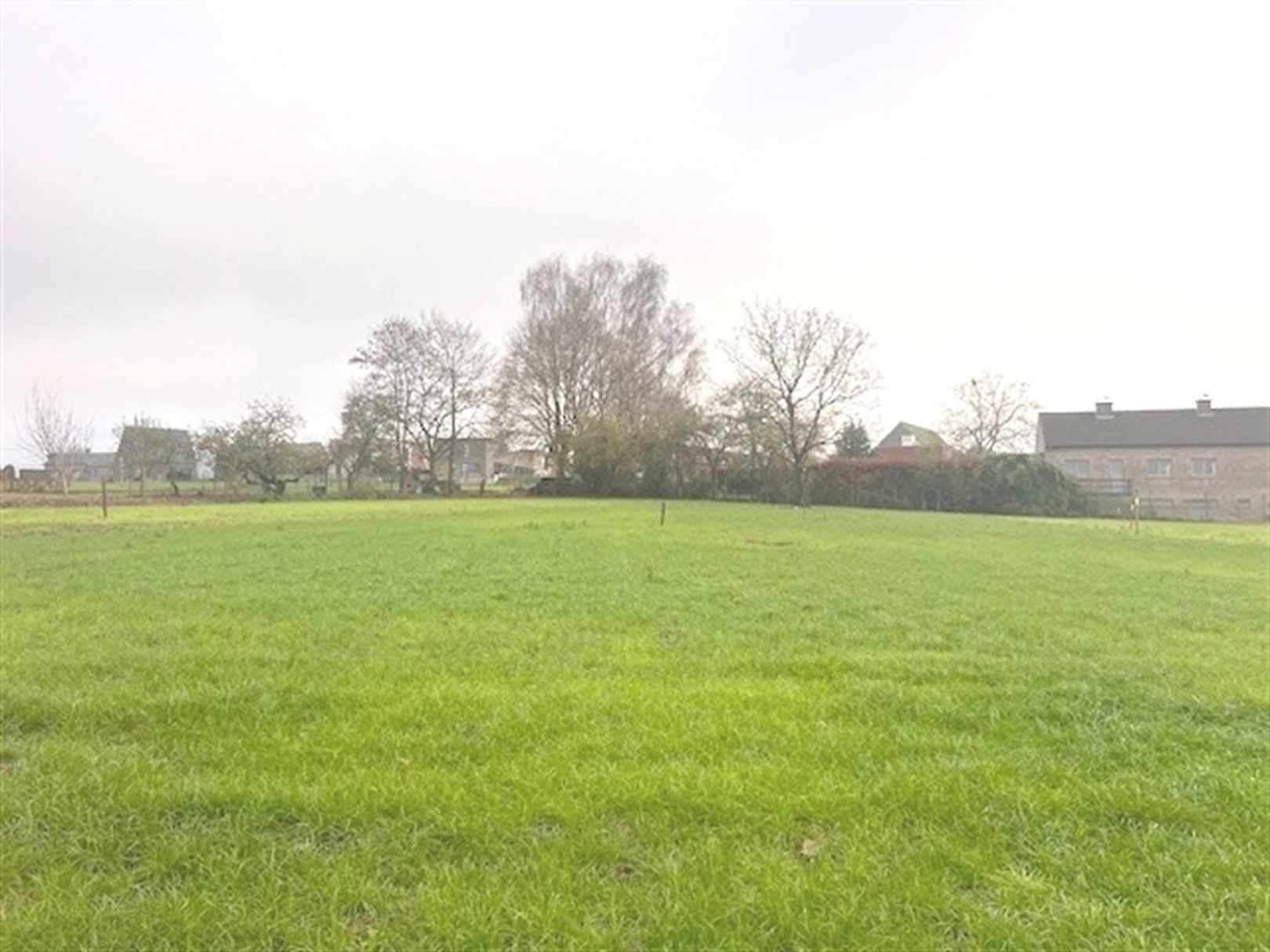 Bouwgrond foto {{pictureIndex}}