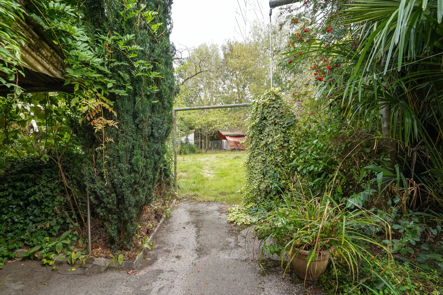 Te renoveren woning met werkplaats en ruim perceel in landelijke omgeving te Londerzeel. foto 27