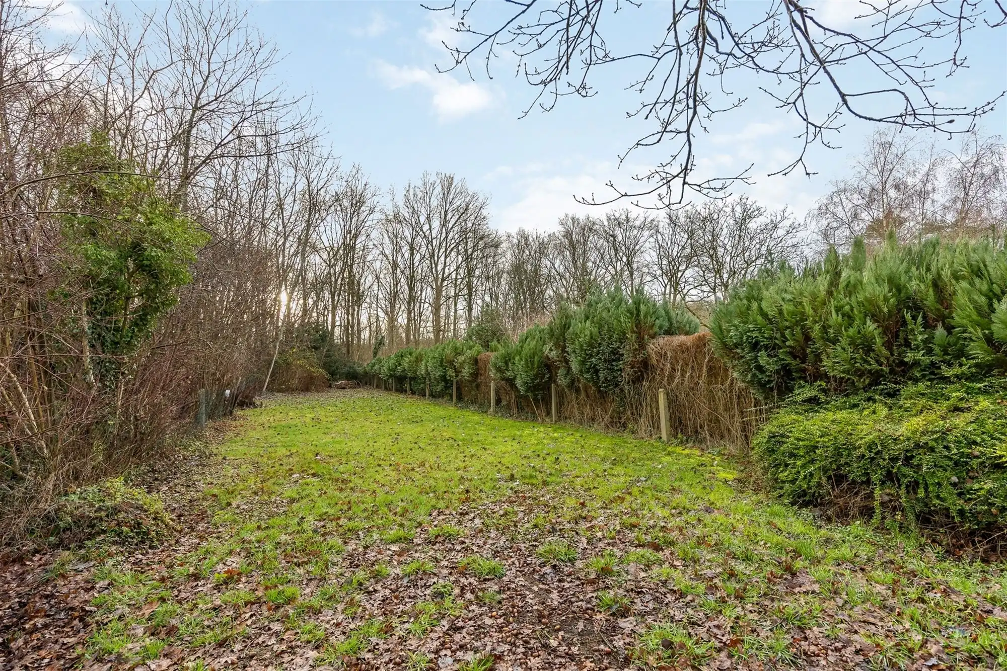 GOED ONDERHOUDEN WONING MET 3 SLAAPKAMERS OP EEN PERCEEL VAN 8A TE ZICHEM foto 22