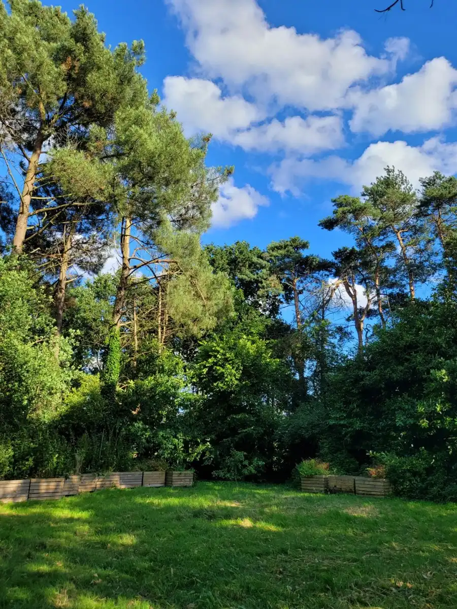 Huis te koop foto 20