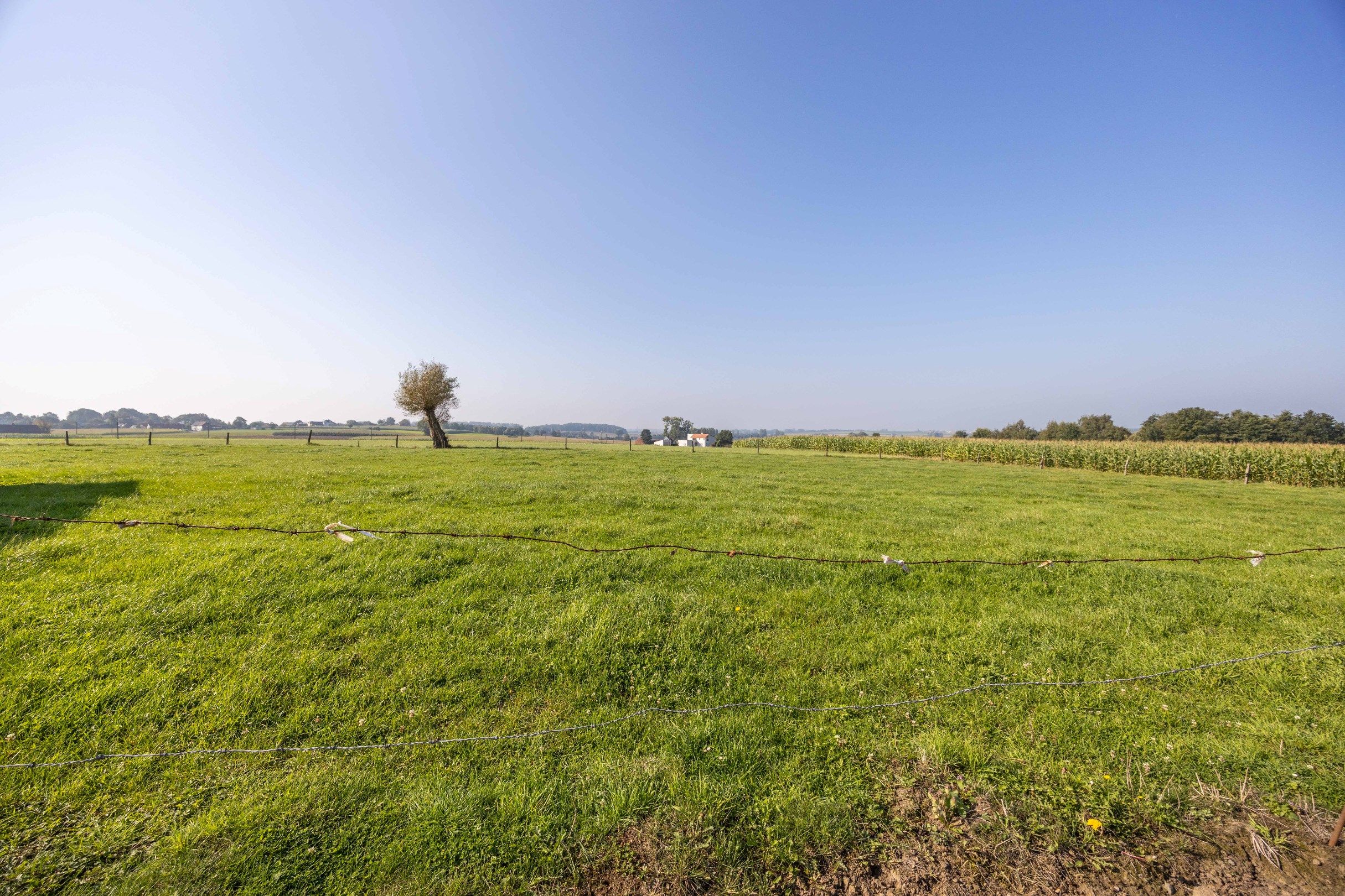 UNIEKE LANDEIGENDOM OP 2,1 HA foto 22