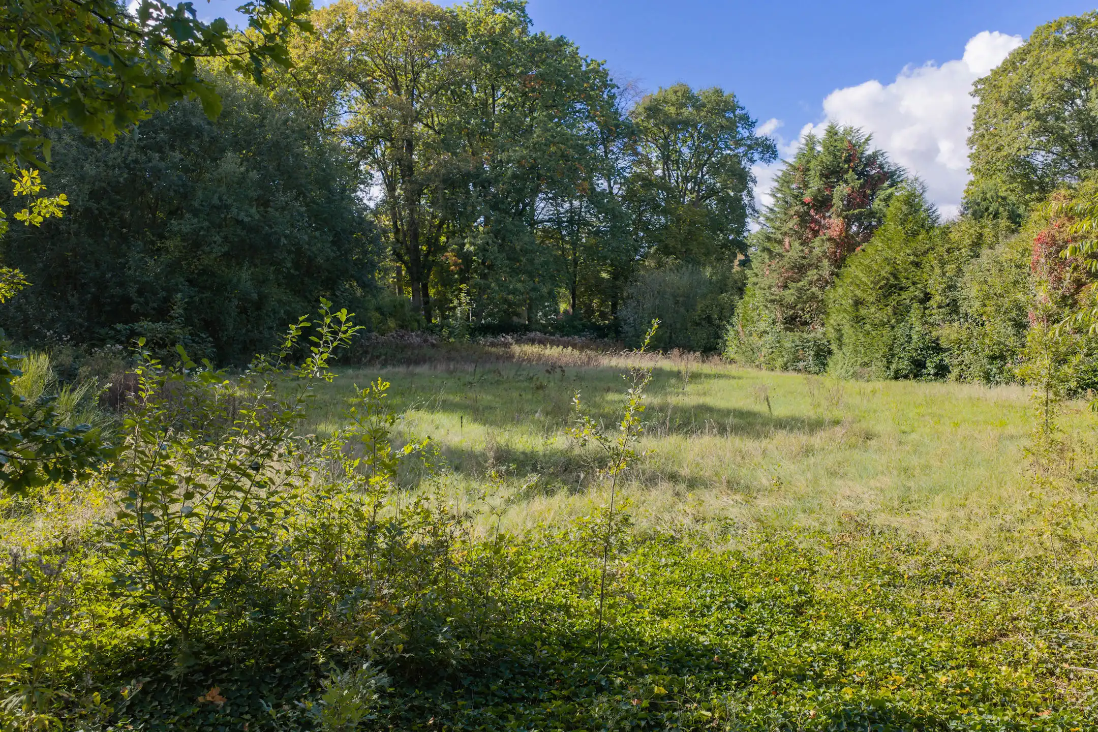 Uniek bouwperceel van 2.963 m² met zuidwestelijke oriëntatie foto 5