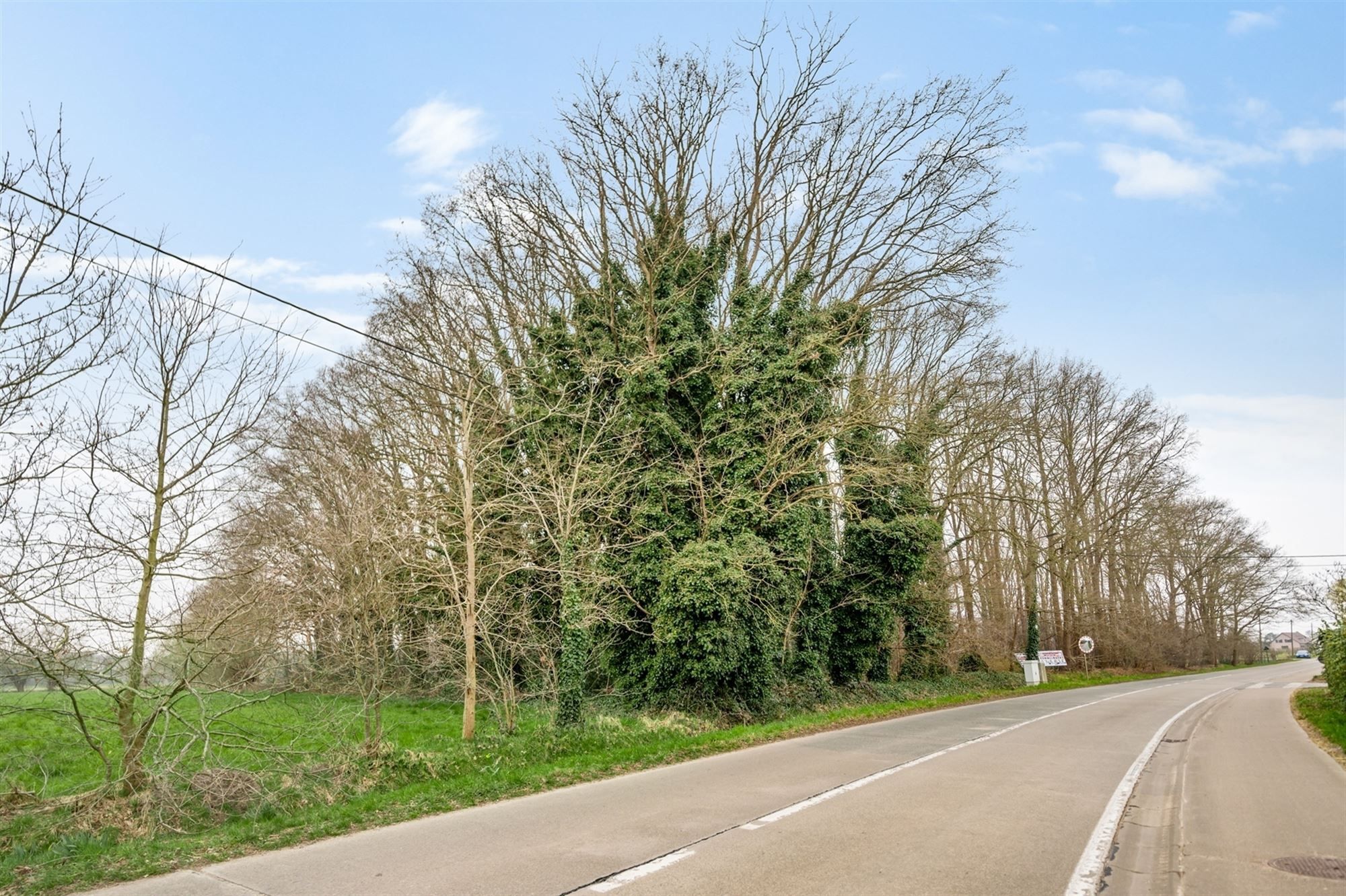 Perceel met bomen te Sint-Katelijne-Waver foto 2