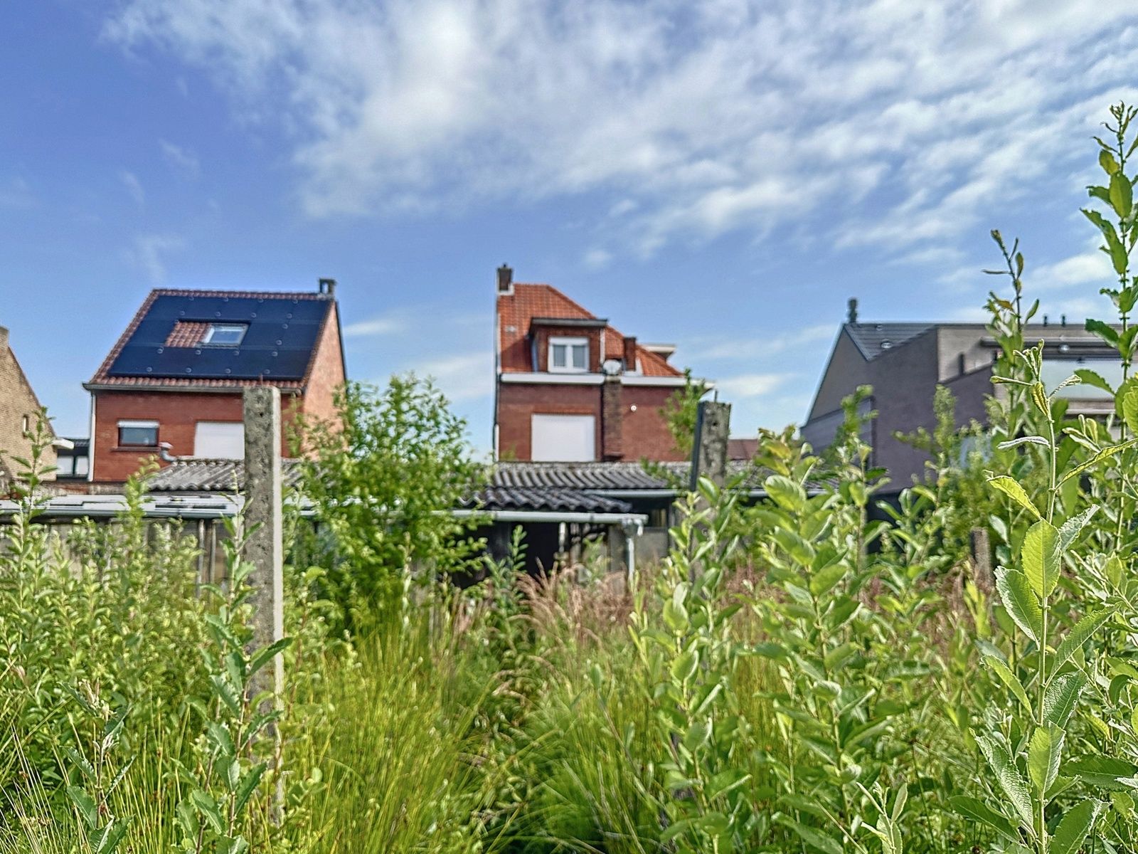 Renovatiewoning met (bouw)grond in hart van Schelle foto 6