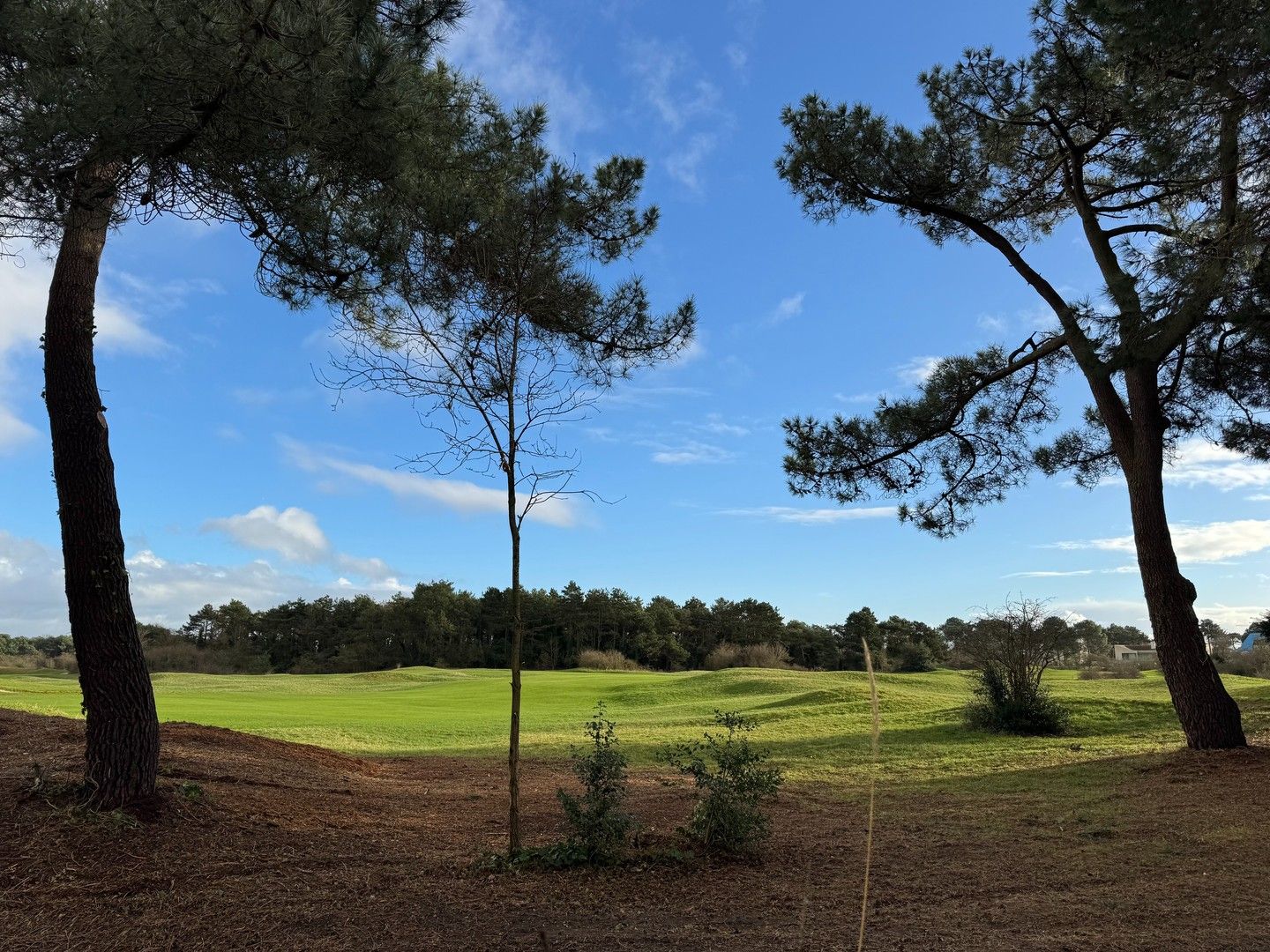 Te renoveren charmante koppelvilla gelegen in een paadje met panoramisch open zicht op de Royal Zoute Golf. foto 16