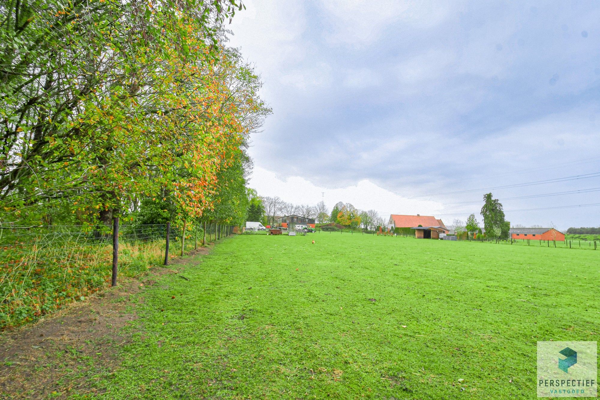 BEZOEKMOMENT WOENSDAG 3/12 VAN 15U30 TOT 17U | Landelijke woning met een magazijn, schuur en weide op 10 224m² foto 5