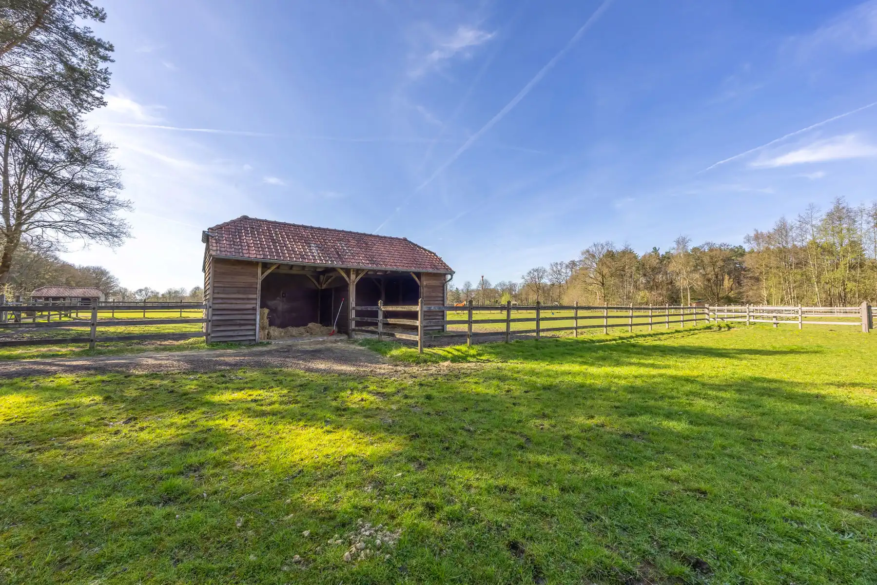 Schitterend domein van 7,7 ha met prachtige villa, zwembad, guesthouse, ruime schuur en uitgebreide paardenfaciliteiten. foto 41