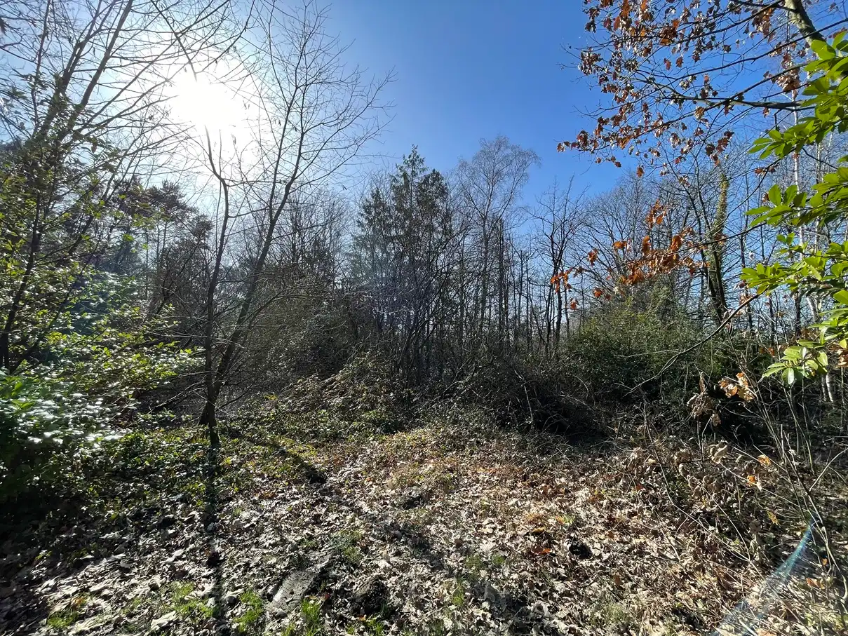 Verblijfsrecreatie met vijver foto 3