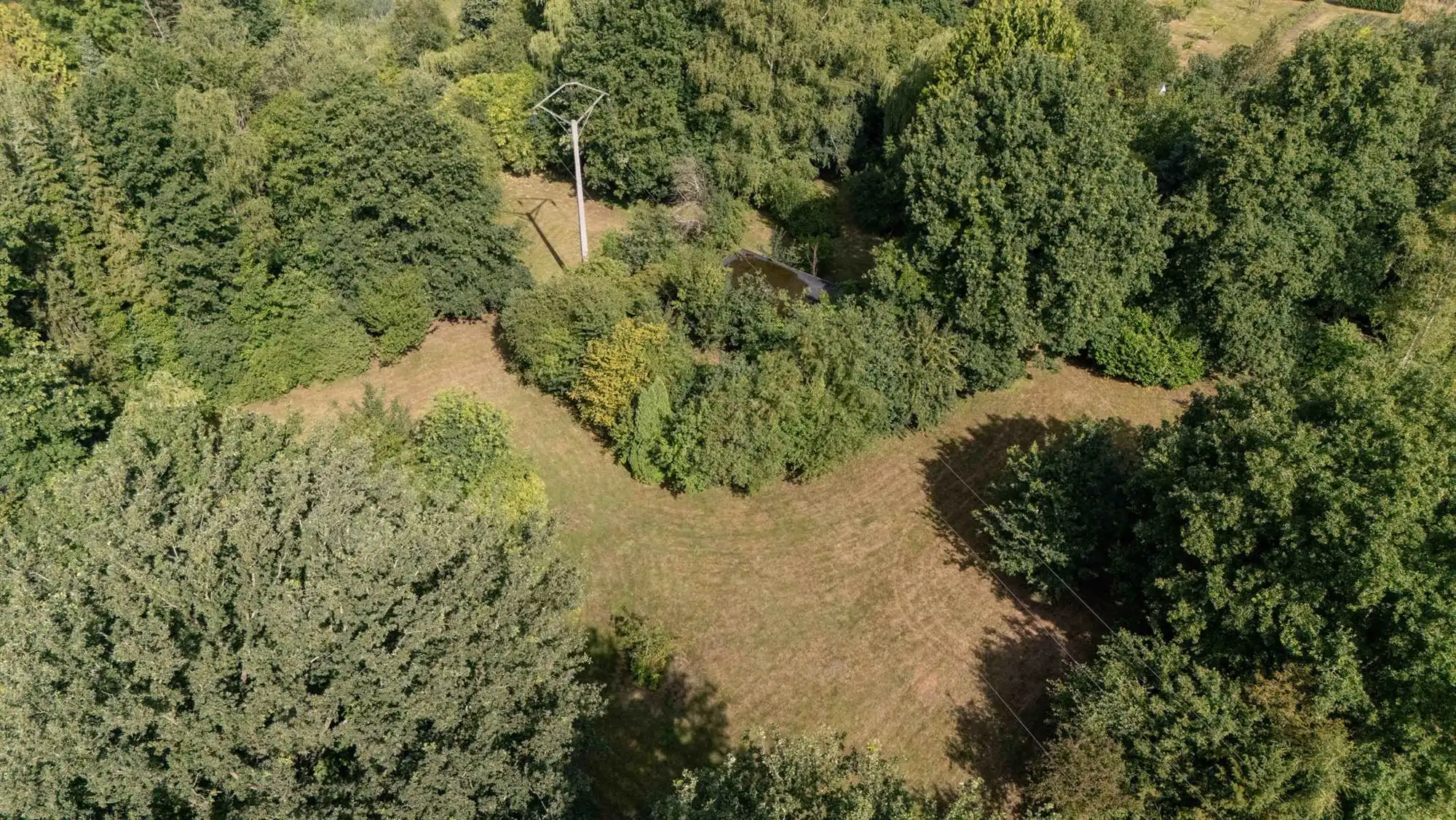 Unieke hoeve op domein van 1,5 ha – pure rust en natuurbeleving in het groen foto 21