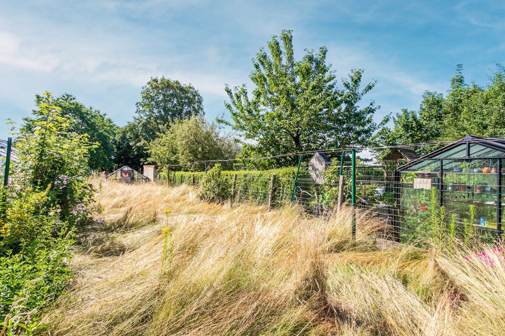 Te renoveren 3-gevelwoning met 3 slaapkamers en tuin foto 13