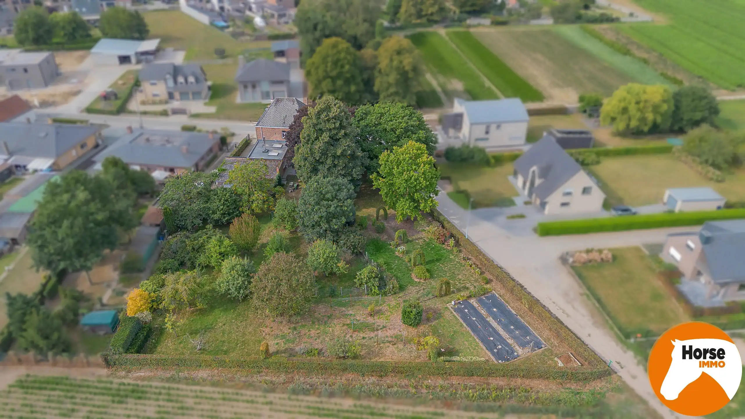 WICHELEN – Karakteristiek burgerhuis op schitterend perceel foto 19