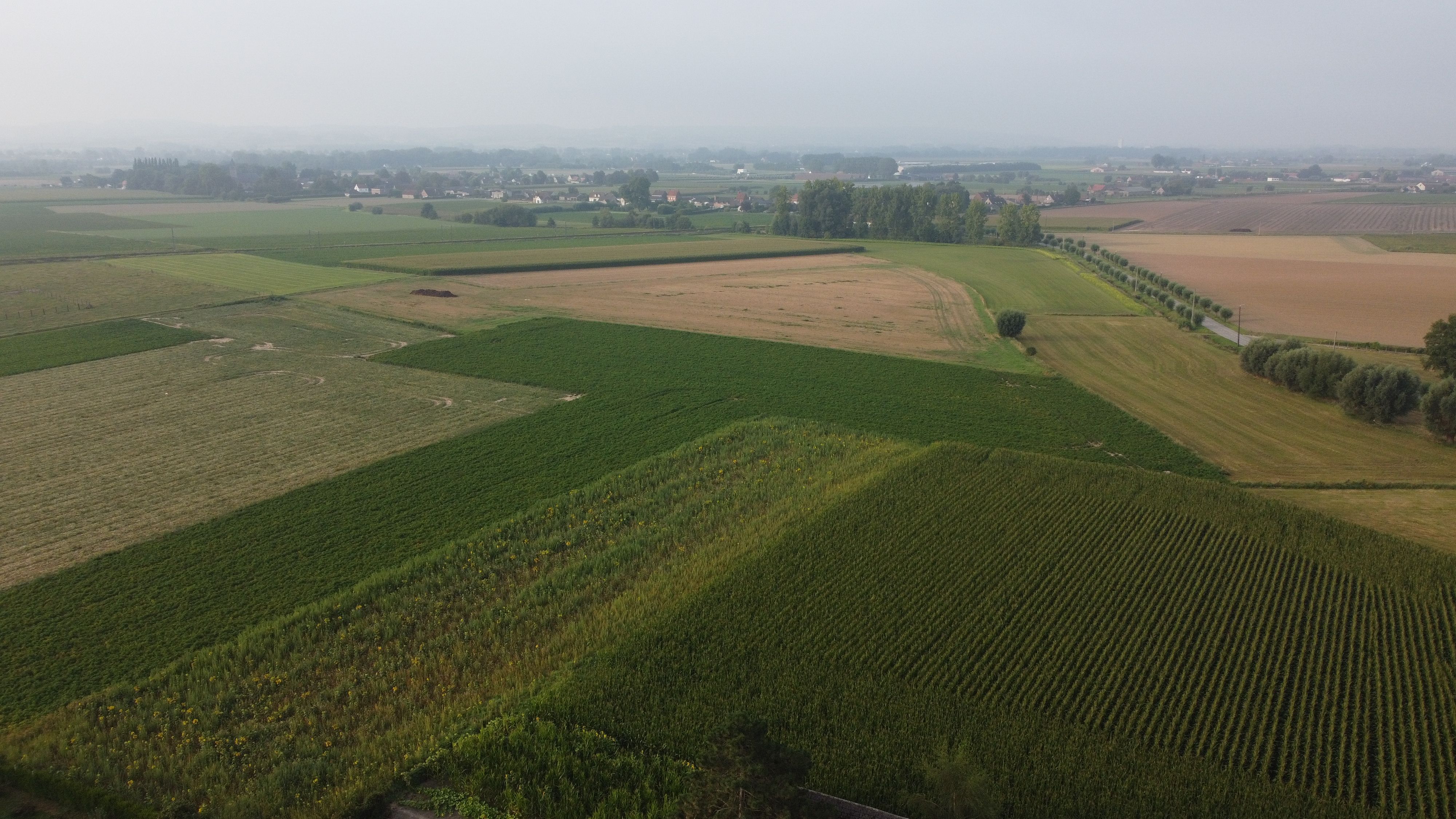 Hoeve met stallen op 3780 m² aan de grens met Elsegem foto 6