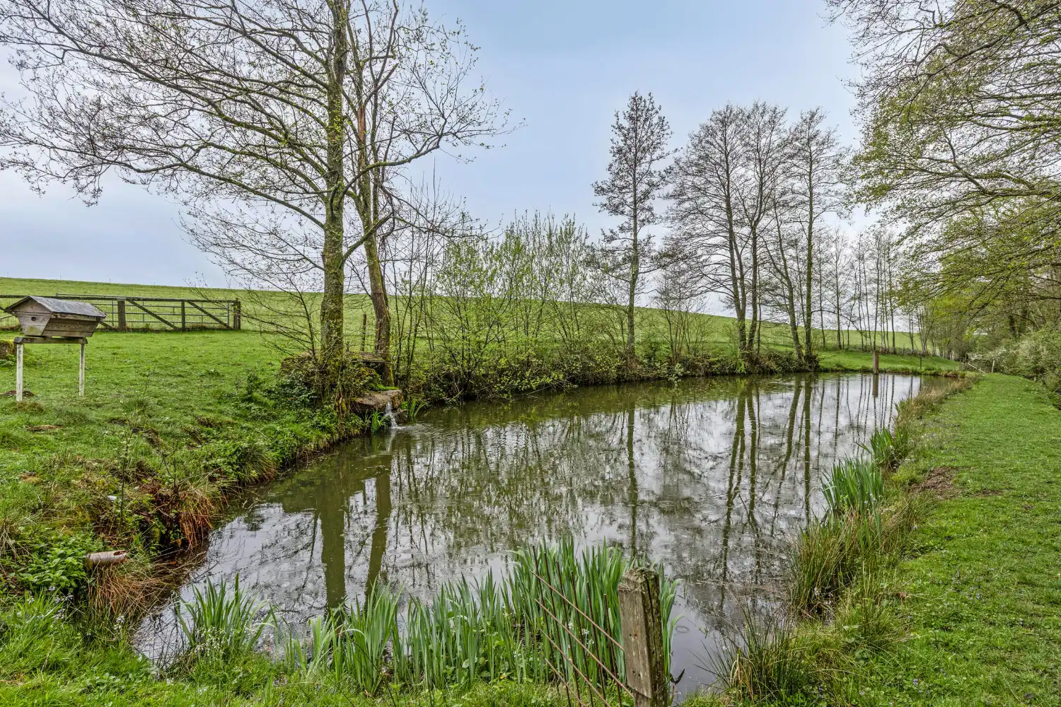 Karaktervolle en zeer ruime woning met Gîte en Chambre d’Hôtes foto 19