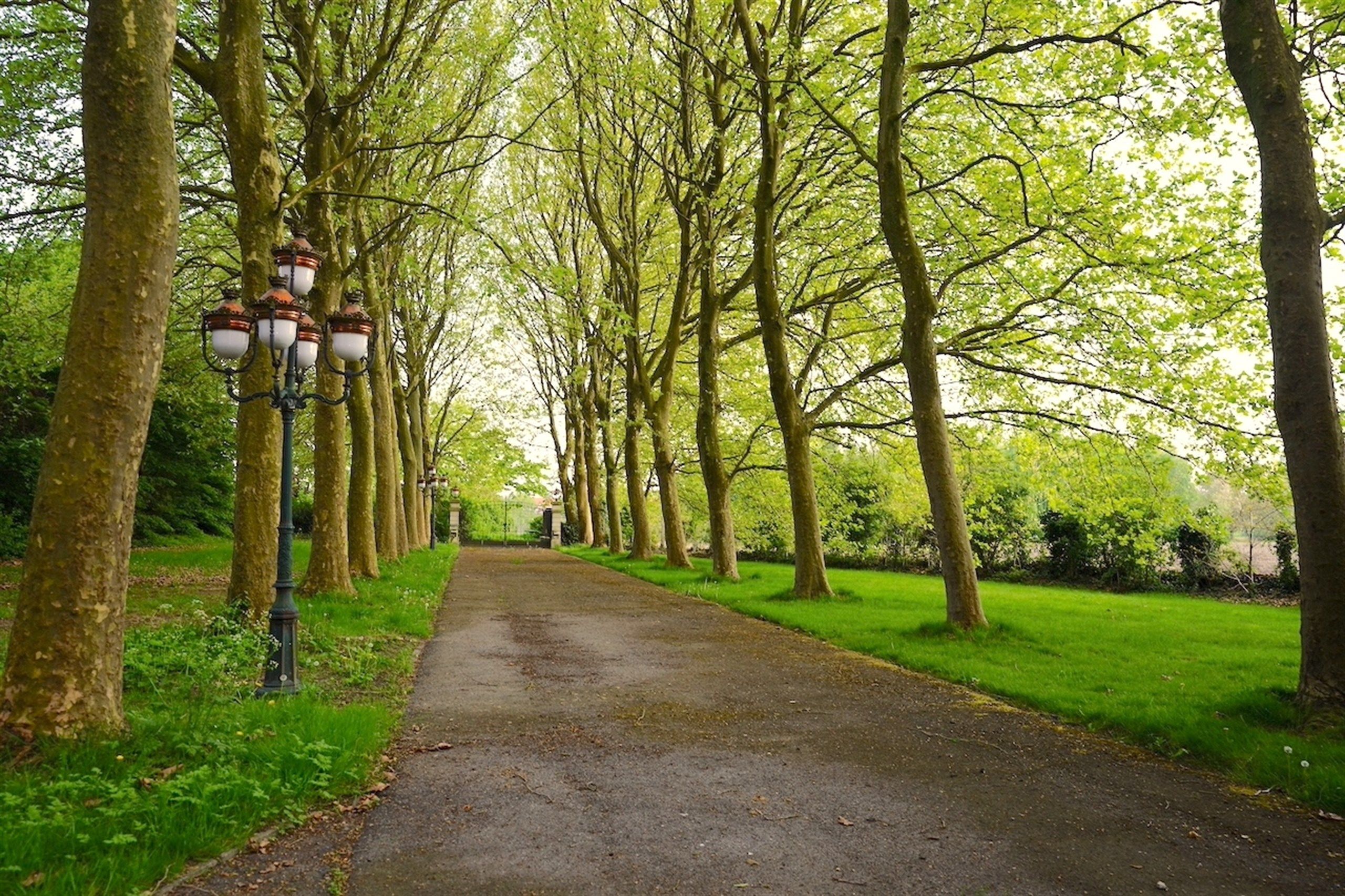 Majestueuze eigendom gelegen op een weelderig landgoed van ca. 1 ha! foto 2