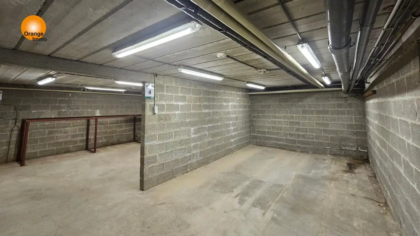 Handelshuis met 5 slaapkamers en grote loods/garage/opslagplaats in Maasmechelen foto 9