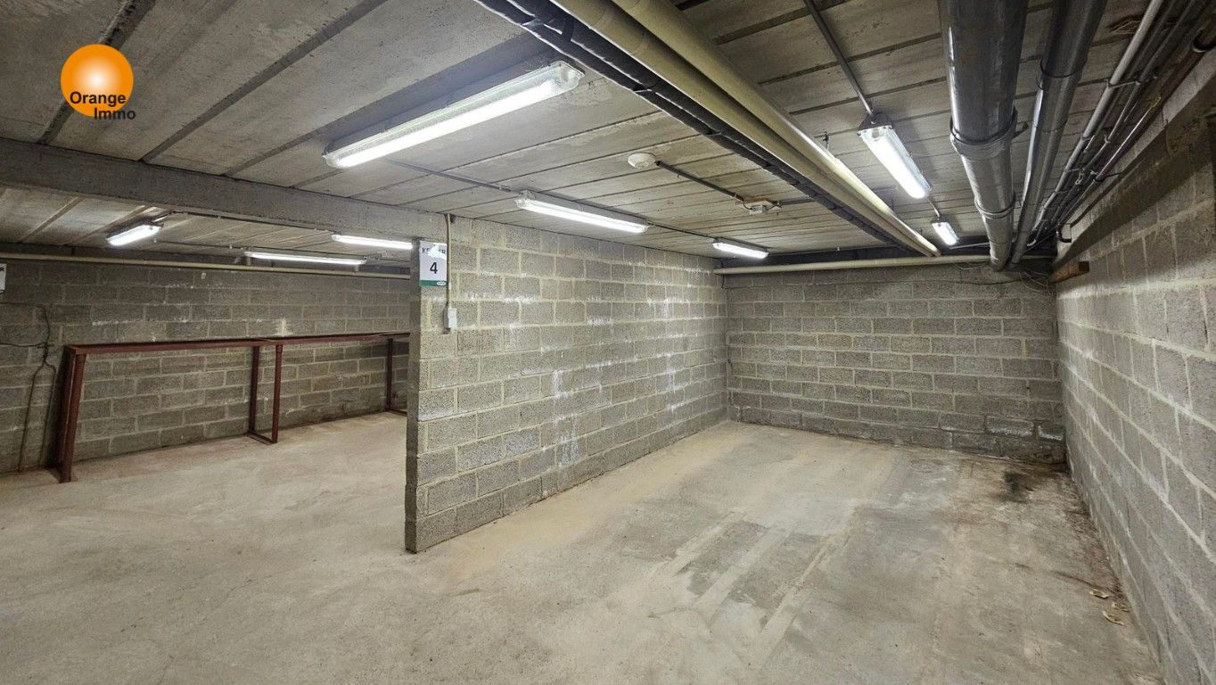 Half-open landhuis met 5 slaapkamers en grote loods in Maasmechelen foto 9