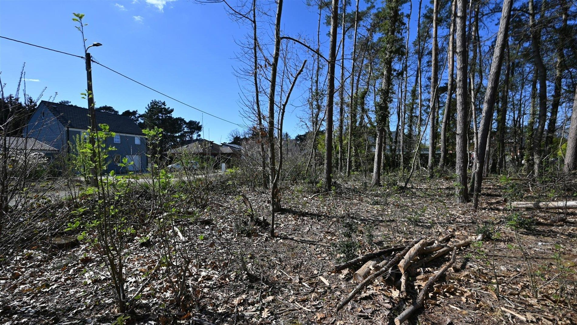 Mooi en rustig gelegen villagrond van 35a te Tremelo foto 6