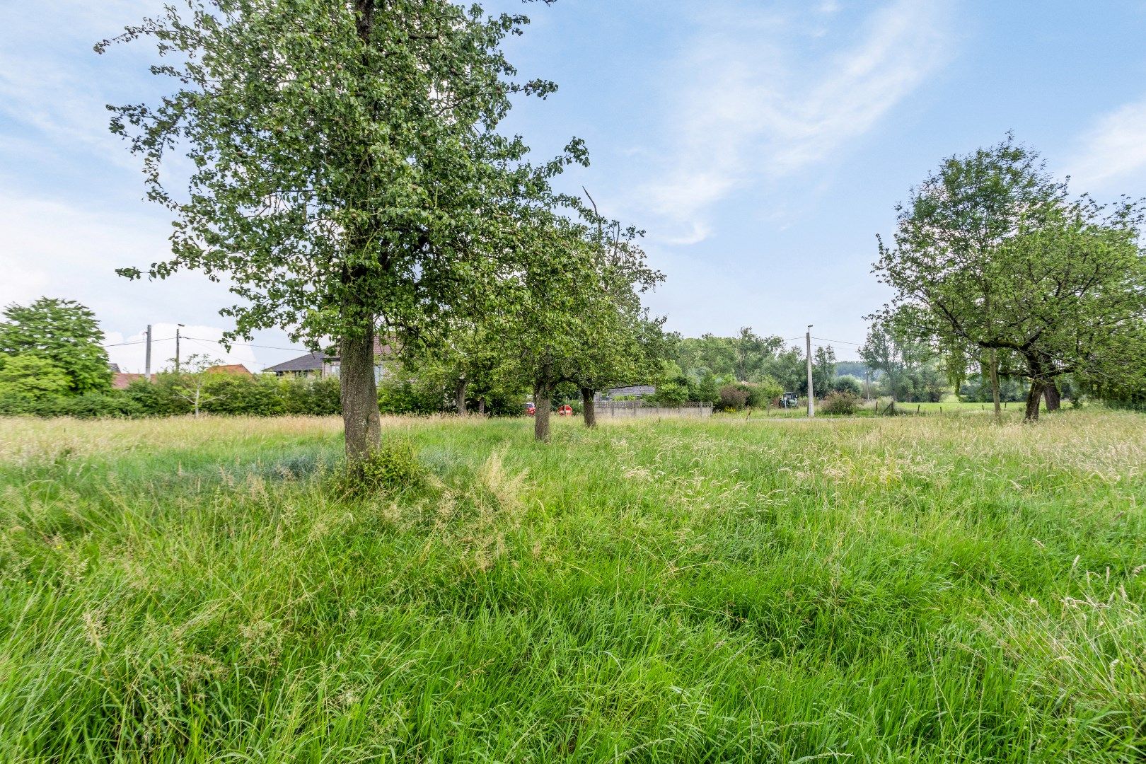 Zuidwest gerichte bouwgrond (6a35) te koop in Zandbergen foto 5