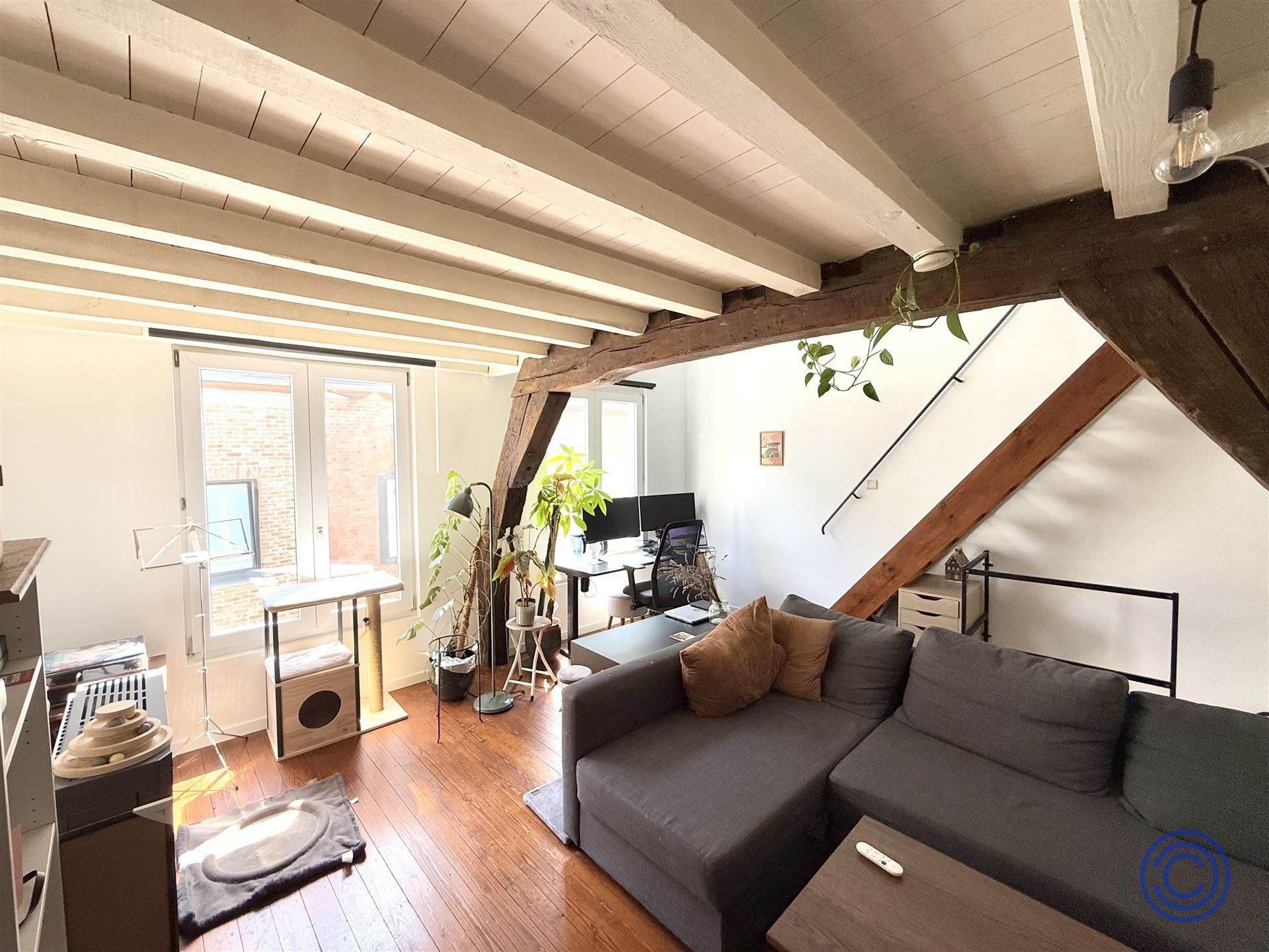 Gezellig triplex appartement in hartje Antwerpen! foto 6