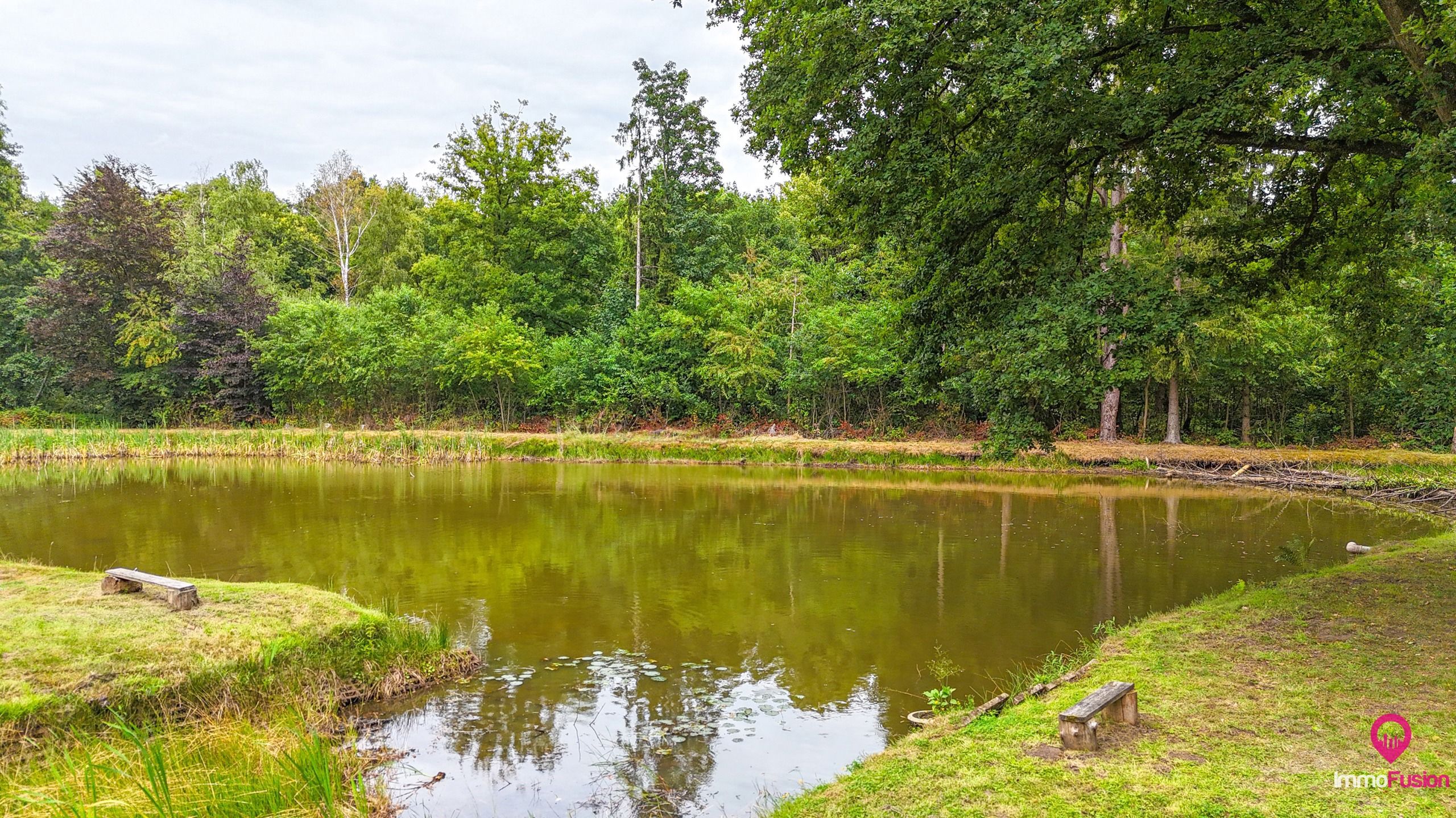 Droom buitenverblijf in Hasselt voor natuurliefhebbers!  foto 13