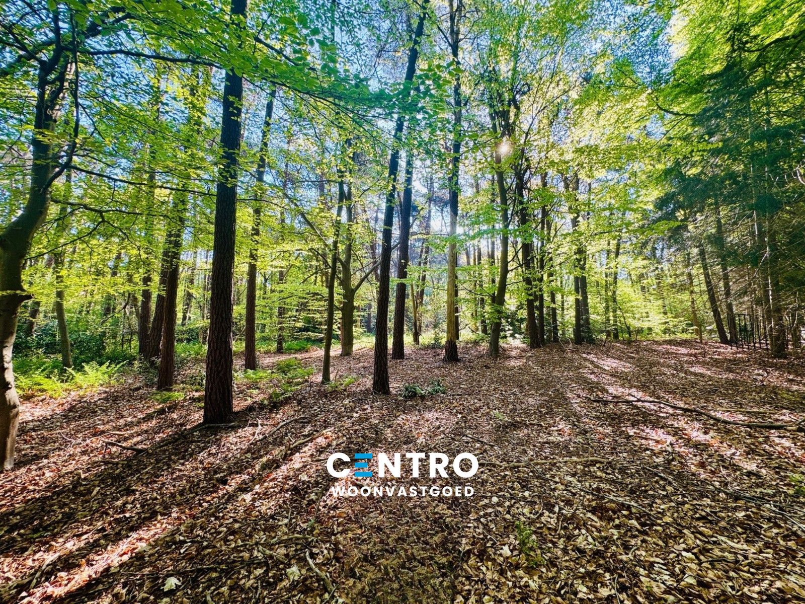 Exclusief (palend aan het Buskampveld!) perceel BOUWGROND (5.604m²) in het residentieel "WOONPARK" en BOS te Hertsberge (Oostkamp)! foto {{pictureIndex}}